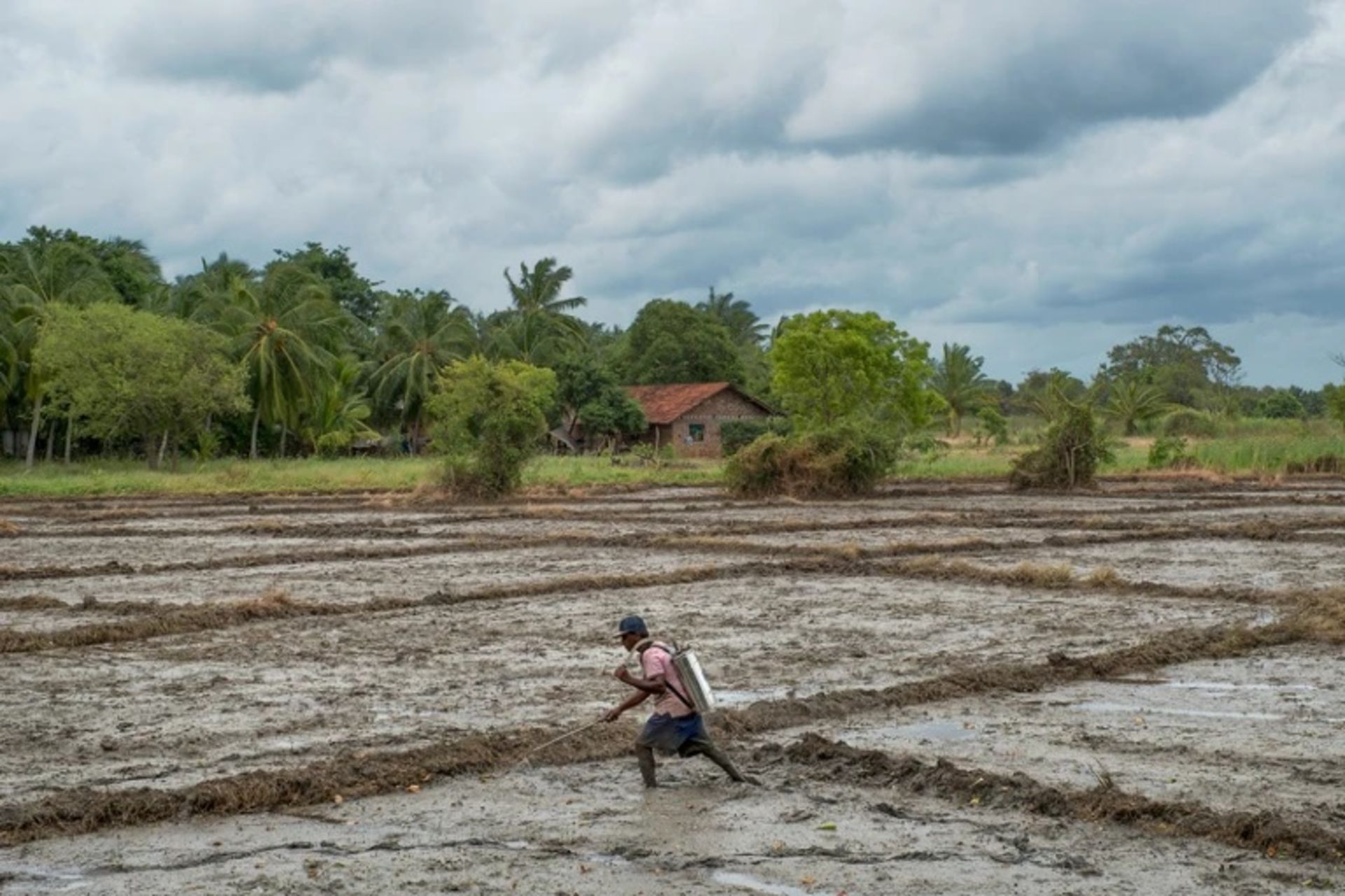 مردی درحال آفت‌کشی مزارع