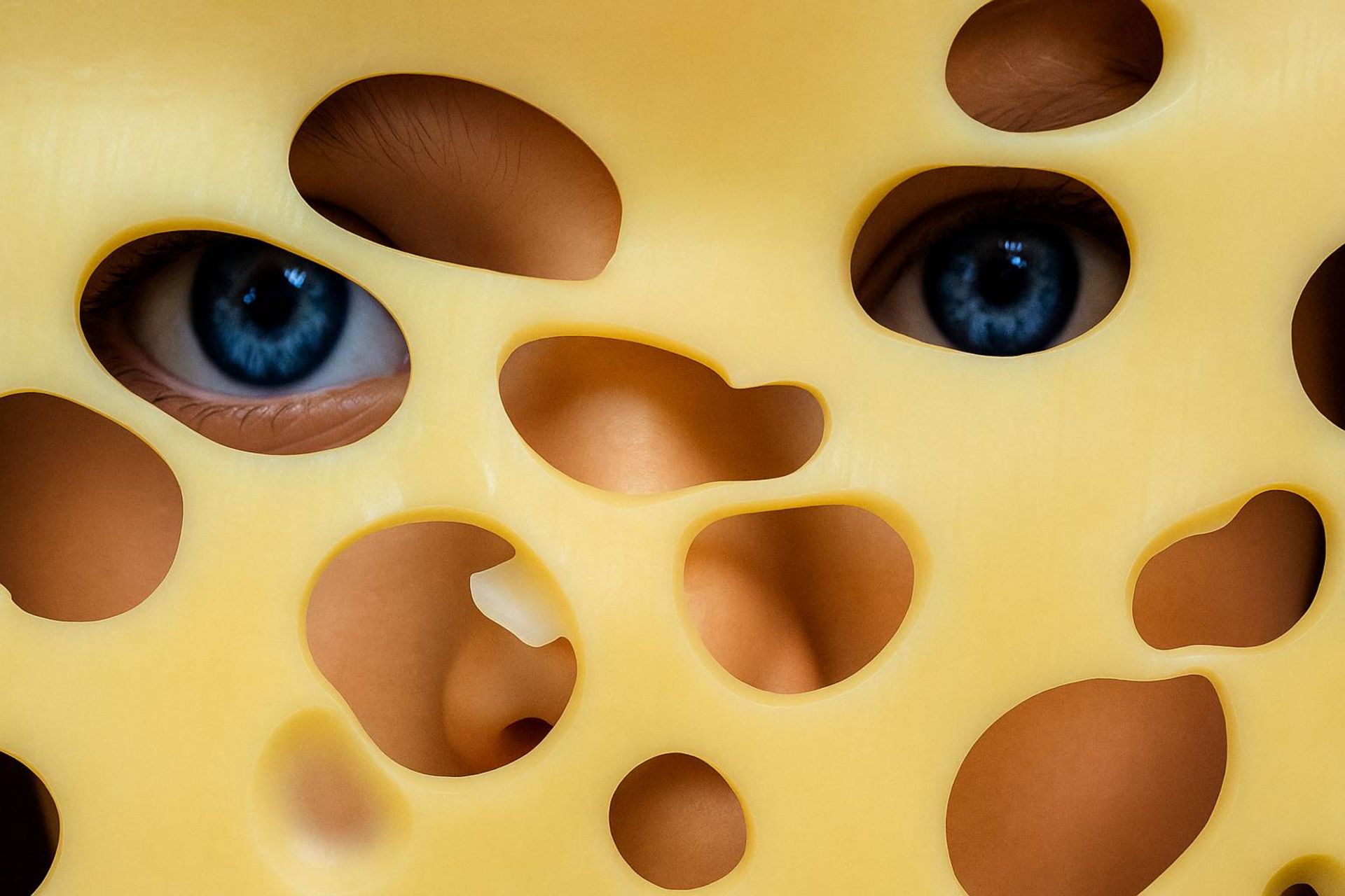 چشم ها پشت پنیر