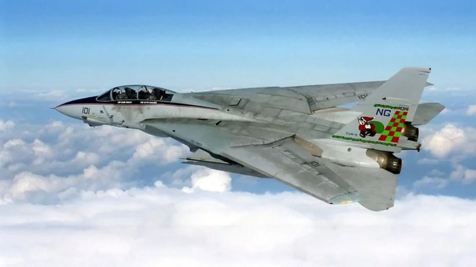 هواپیمای F14