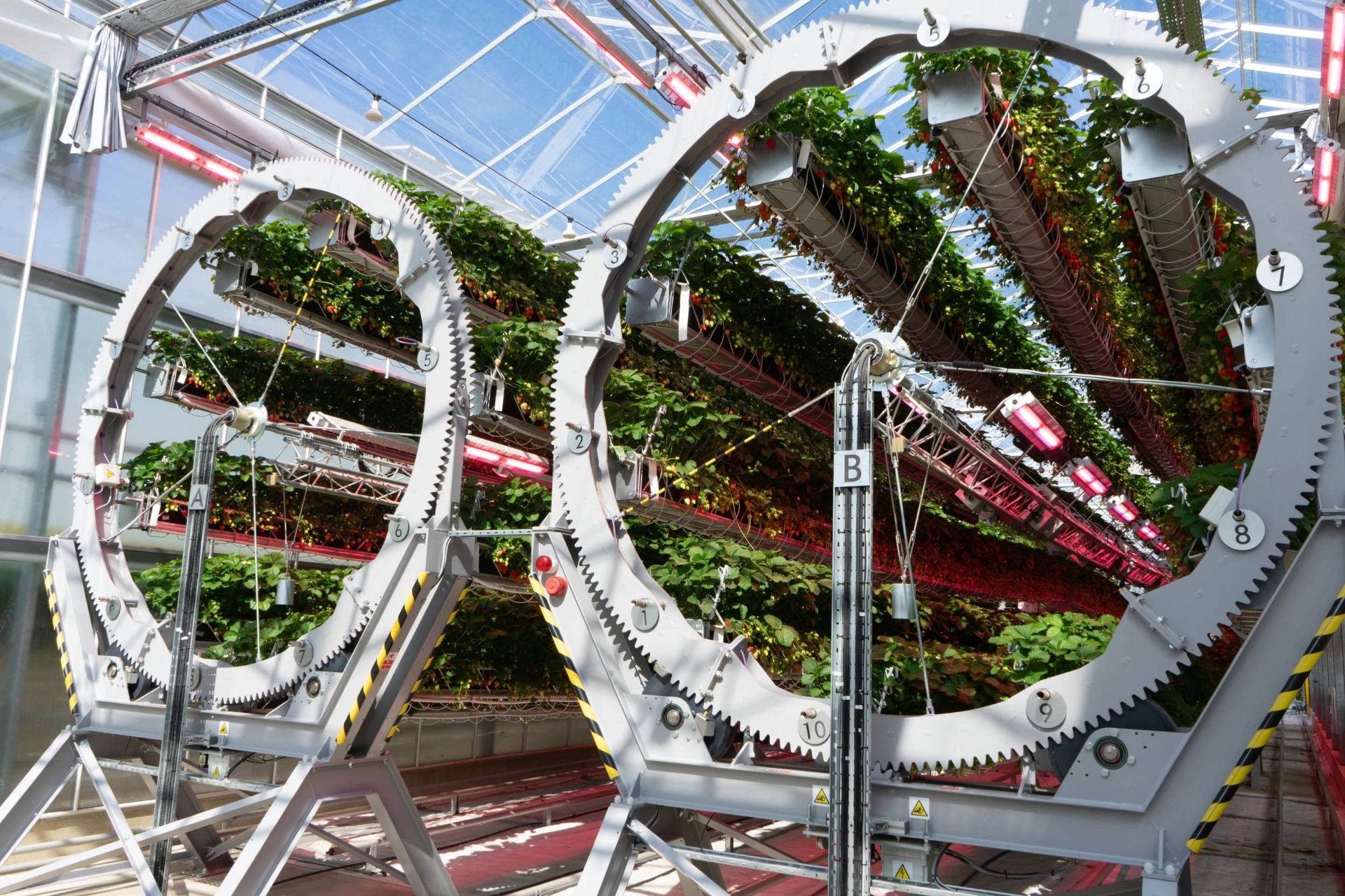 چرخ های حامل توت فرنگی مزرعه دایسون