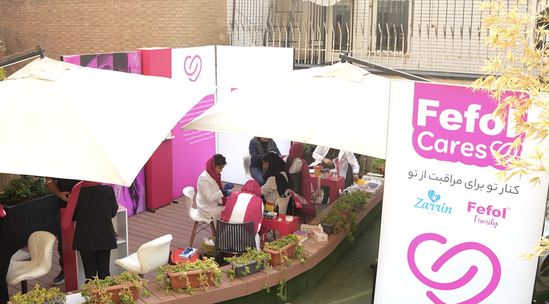 کمپین فلفول