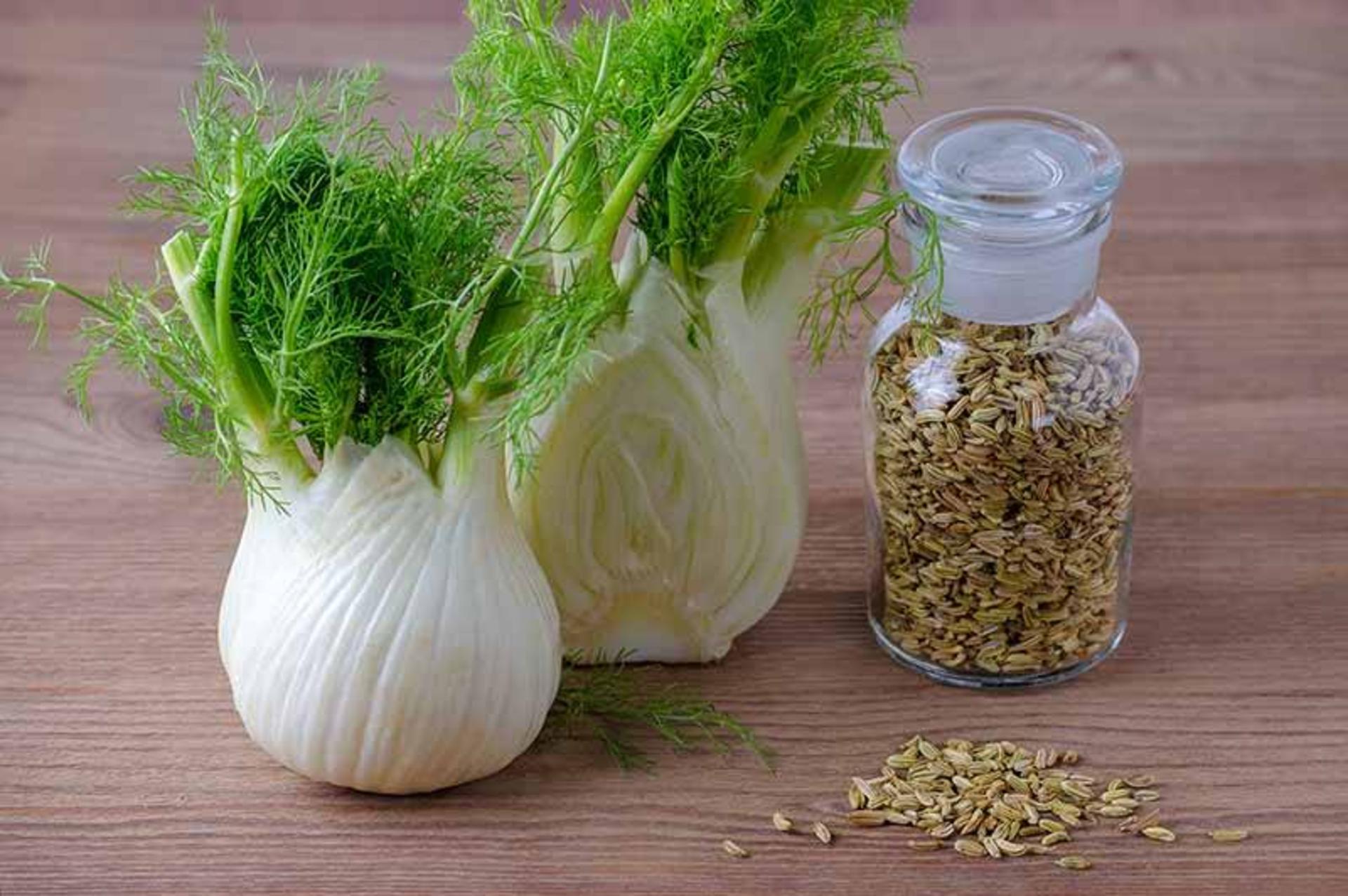 گیاه رازیانه