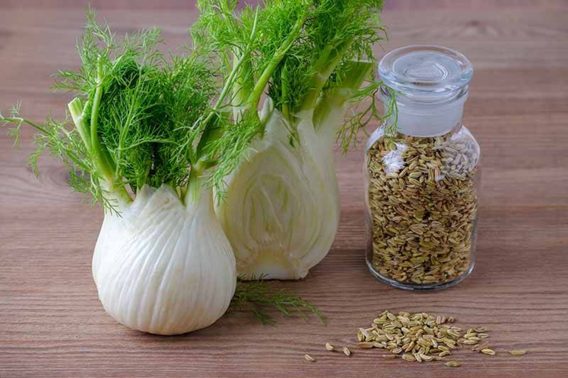 گیاه رازیانه