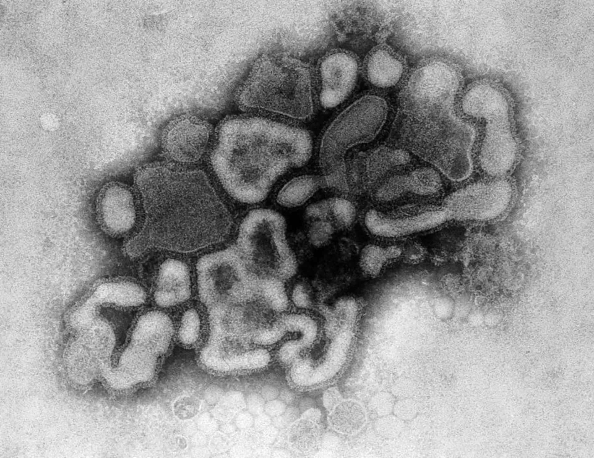 H1N1 influenza virus detected at Fort Dix