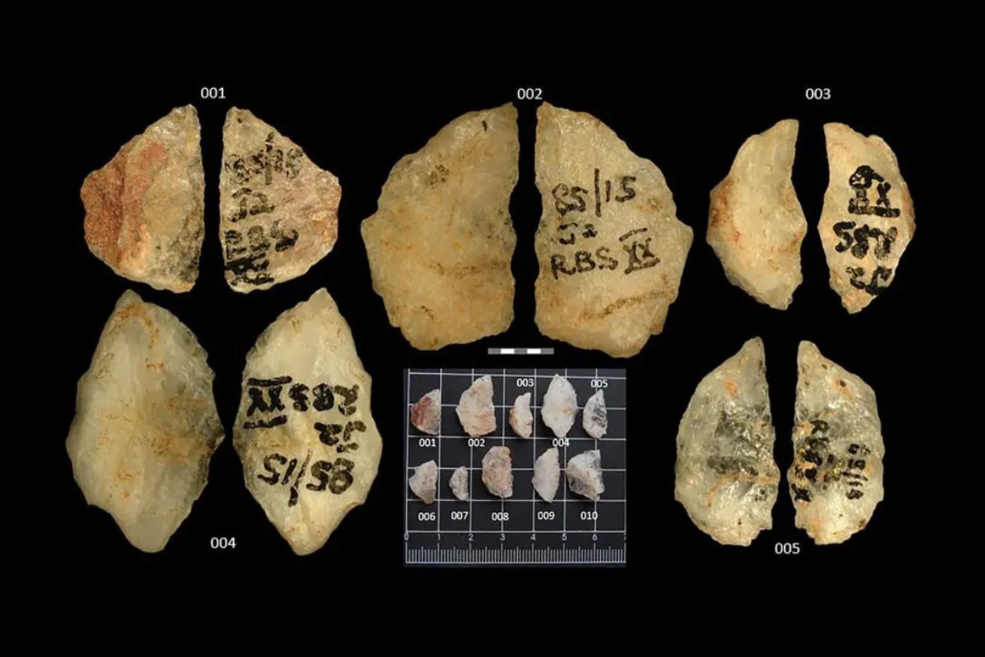 پنج میکرولیت (ریزار ابزار سنگی) از جنس کوارتز که در پناهگاه صخره‌ای «اوملاتوزانا» کشف شده‌اند. روی این ابزارها، آثاری از سموم آلکالوئیدی «بوفانیدرین» و «اپی‌بوفانیسین» یافت شده است.