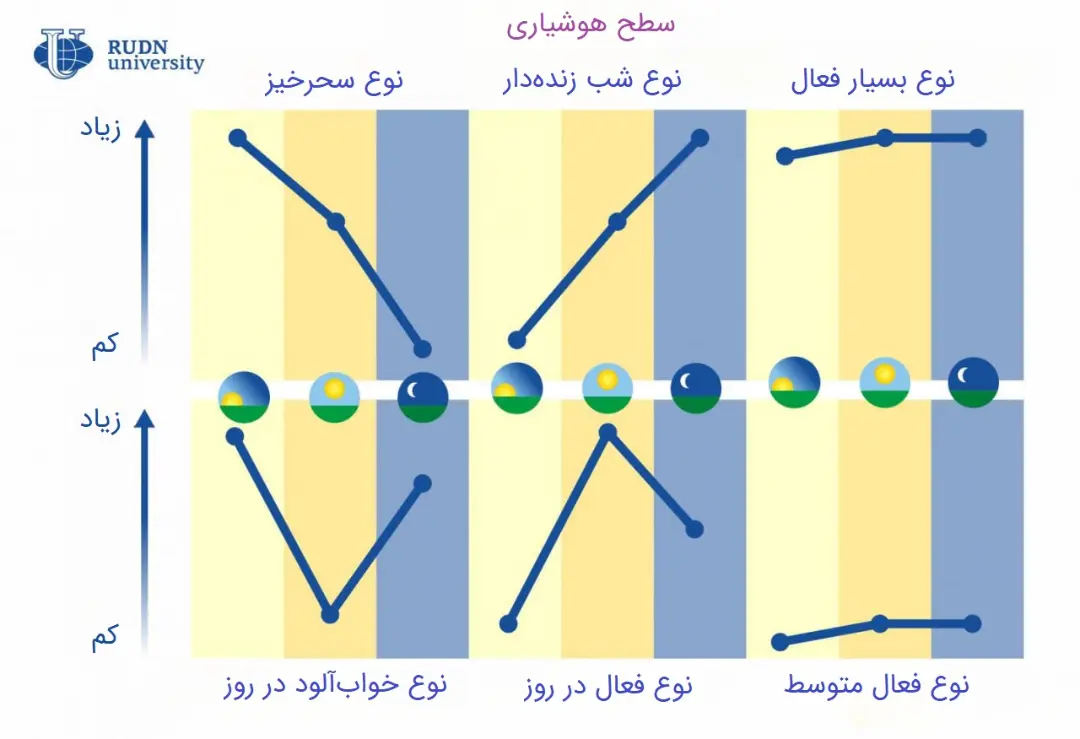 نمودار شش نوع عادت خواب و بیداری در افراد