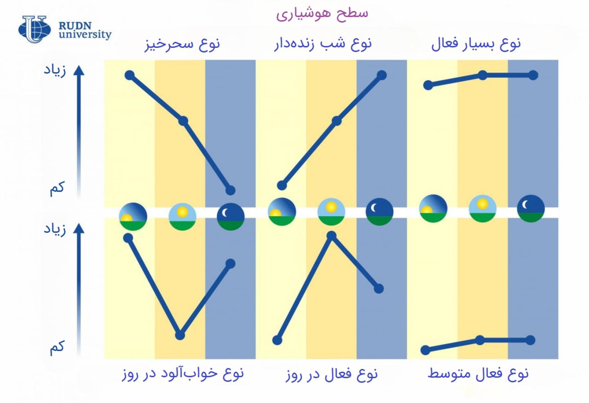 نمودار شش نوع عادت خواب و بیداری در افراد