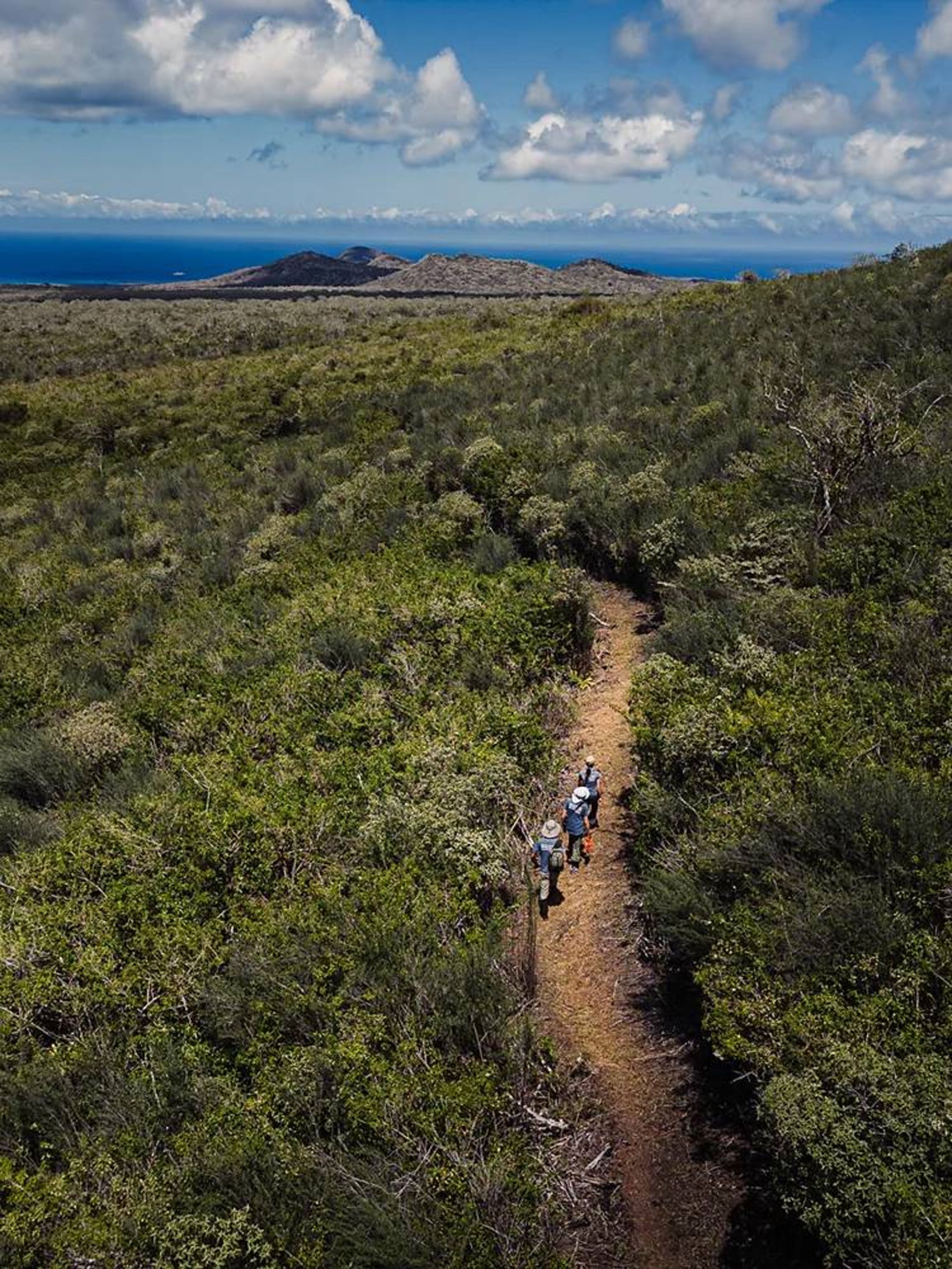 نمای هوایی جزیره فلوریانا در مجمع الجزایر گالاپاگوس در اقیانوس آرام