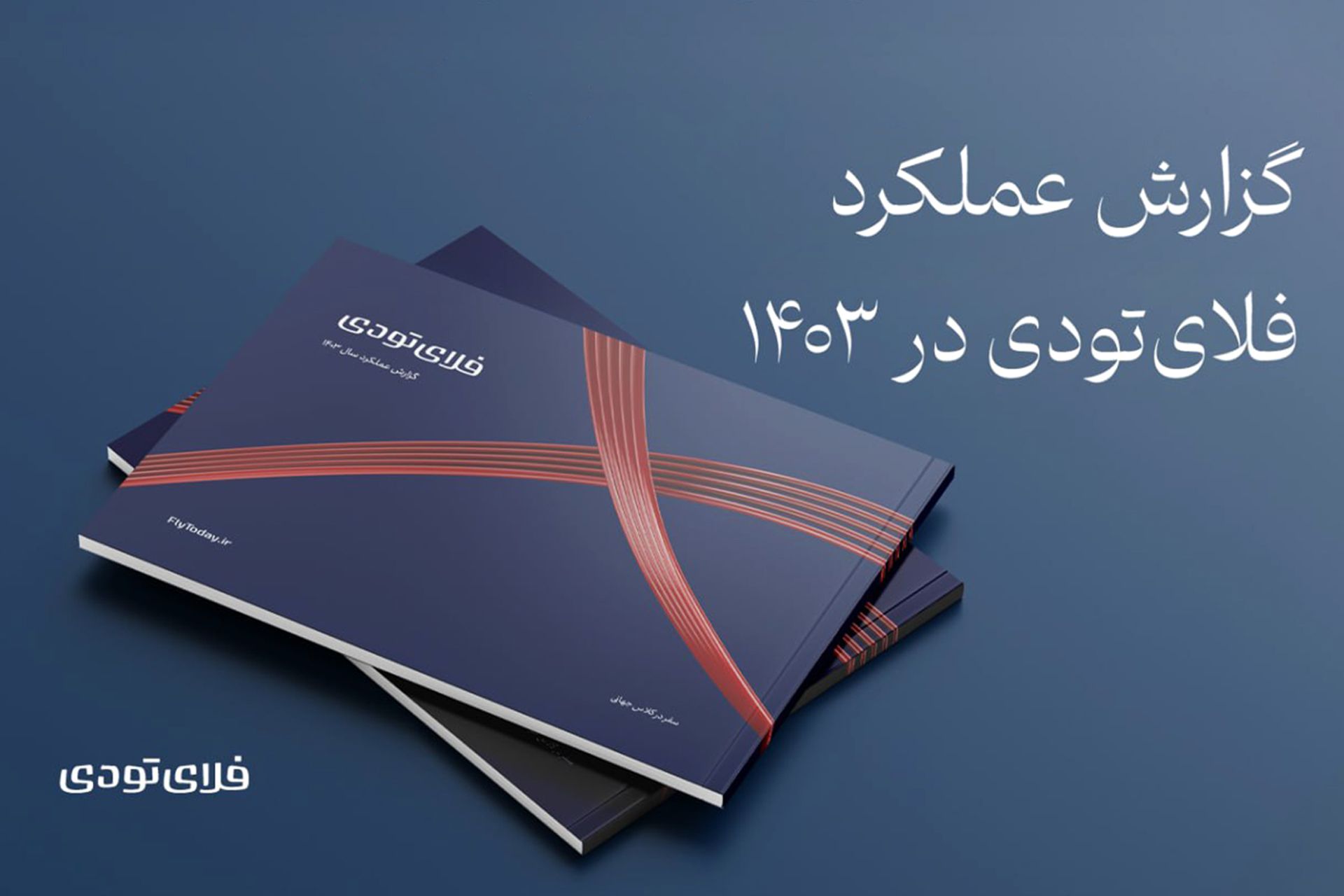 گزارش سال ۱۴۰۳ فلای‌تودی