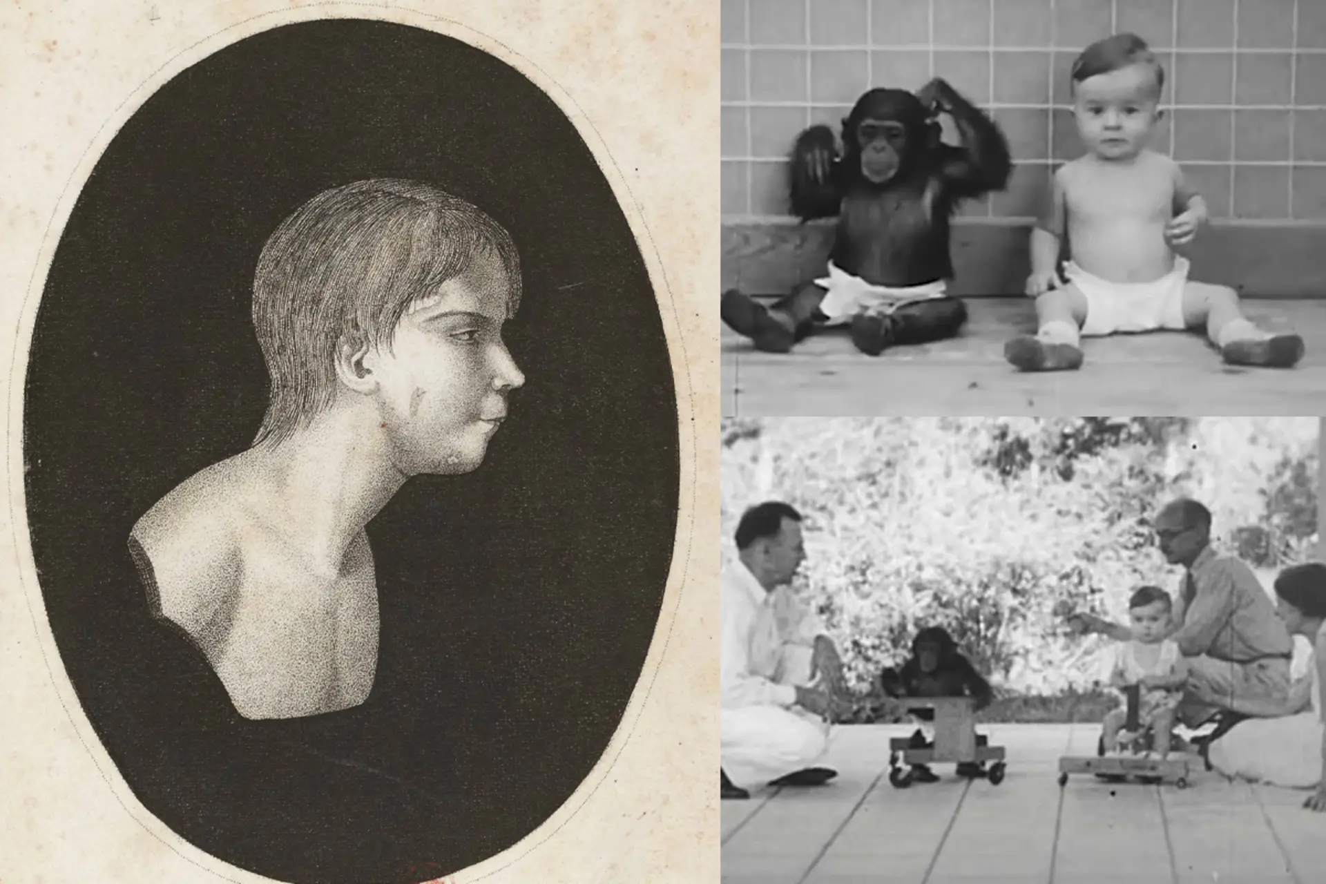 آزمایش ممنوعه: تلاش‌های غیراخلاقی برای درک ماهیت زبان و ویژگی‌های انسان