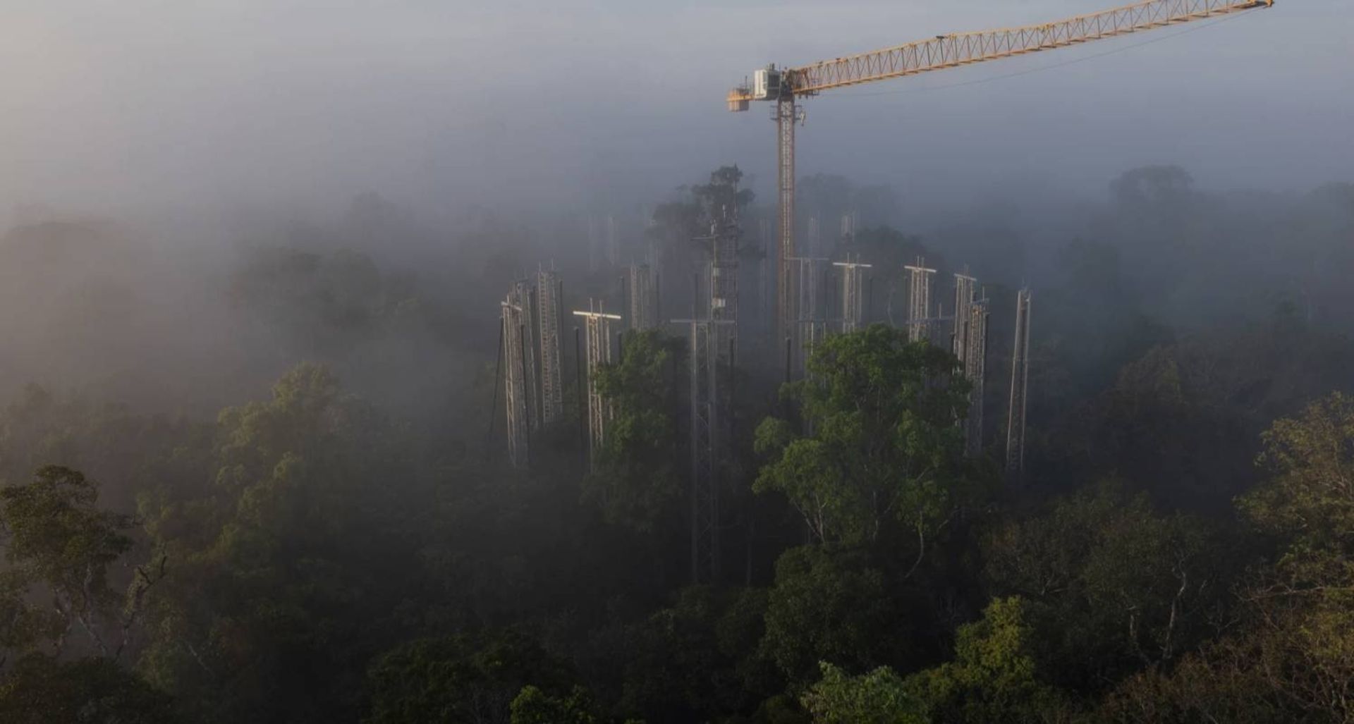 پروژه AmazonFACE در آمازون برزیل