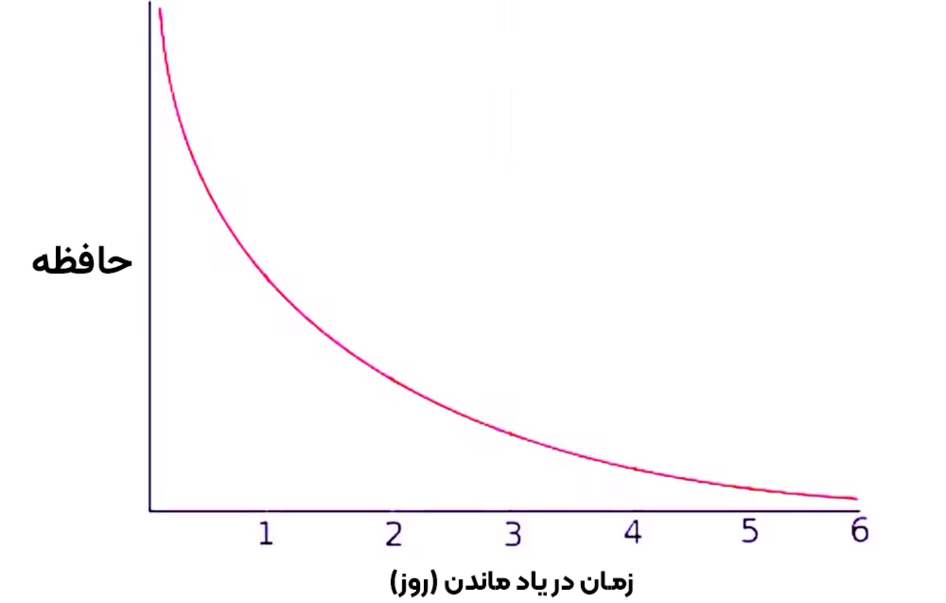 منحنی فراموشی