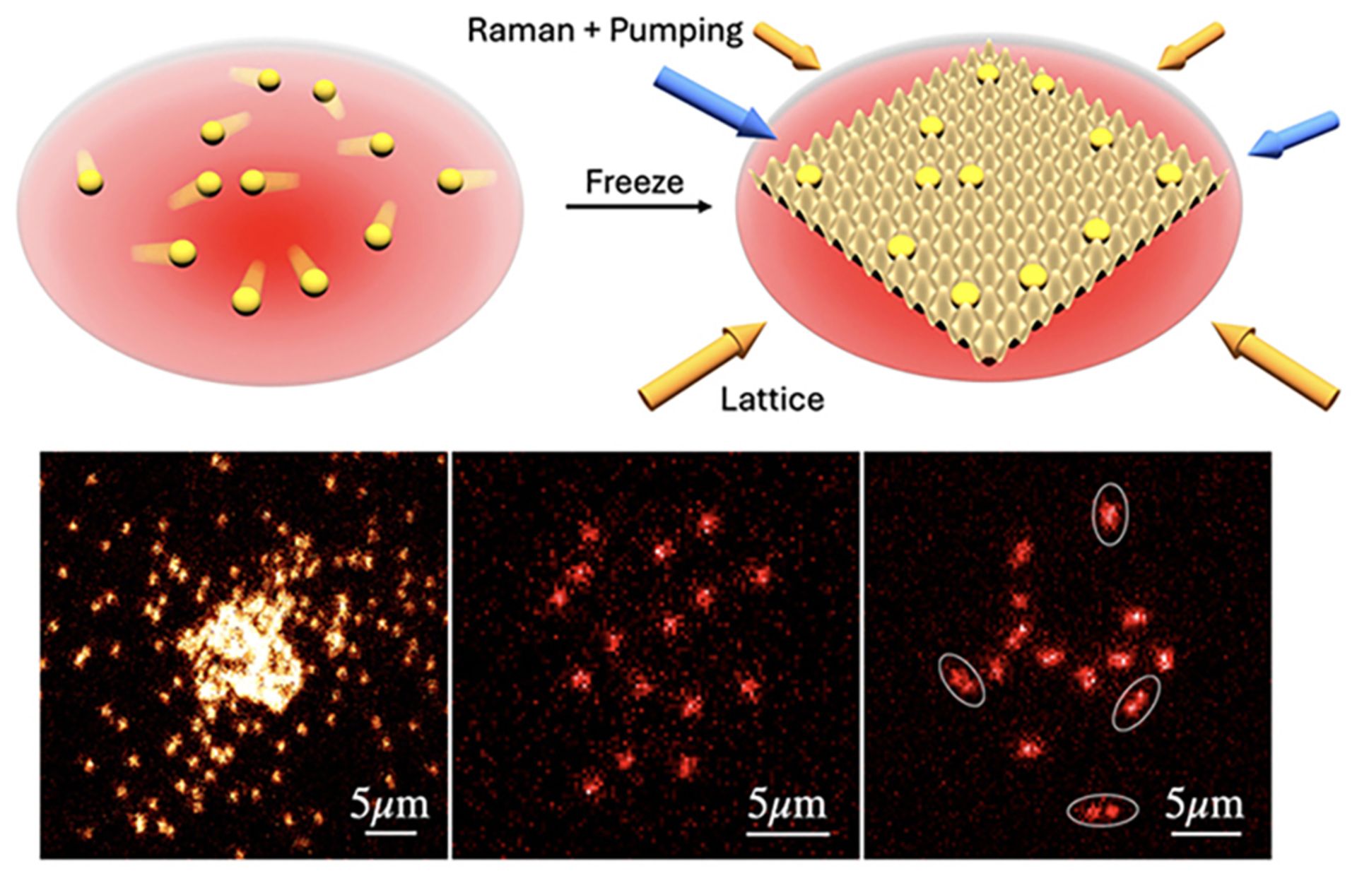 تصویر اتم آزاد
