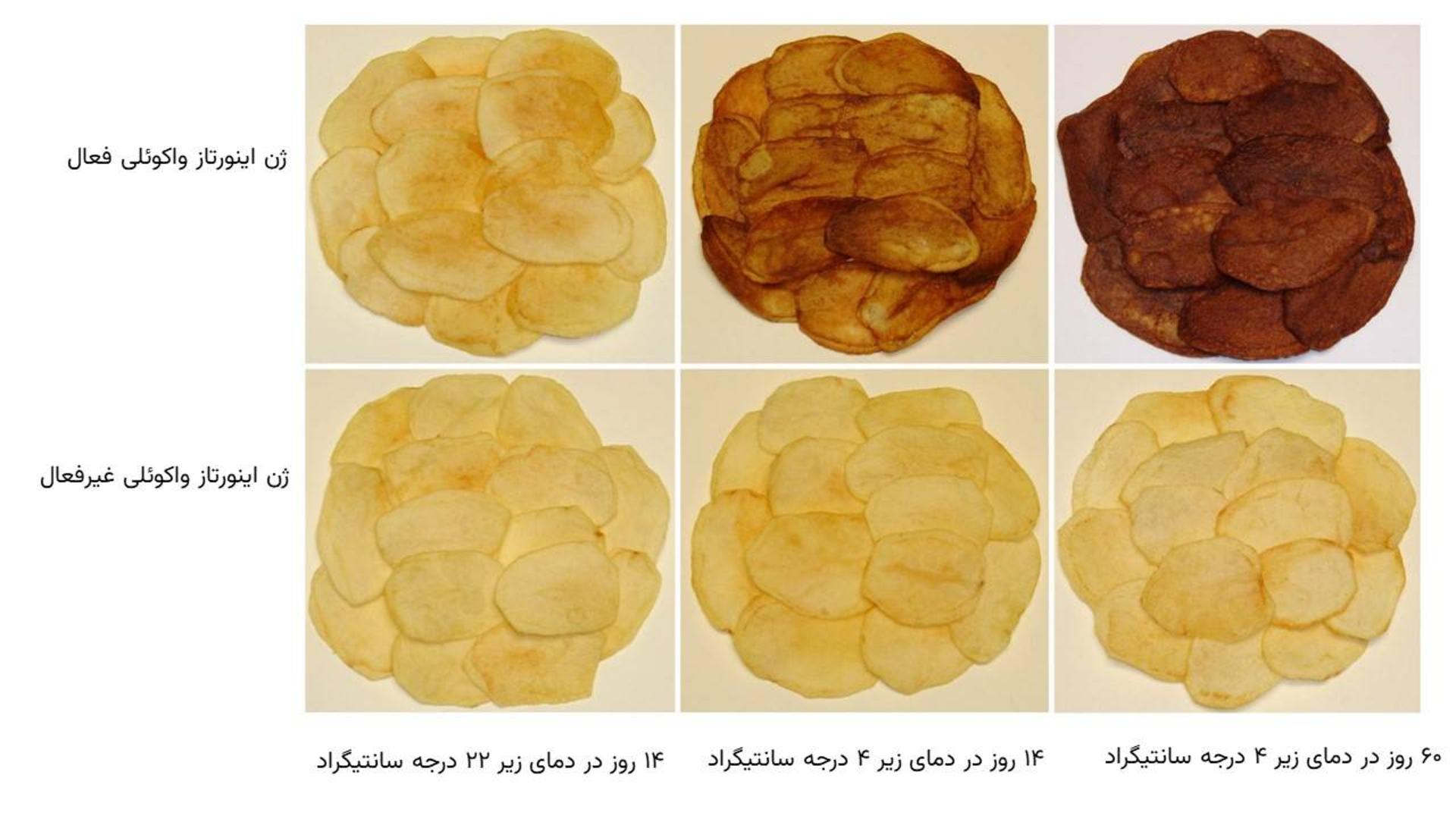 سیب زمینی سرخ شده