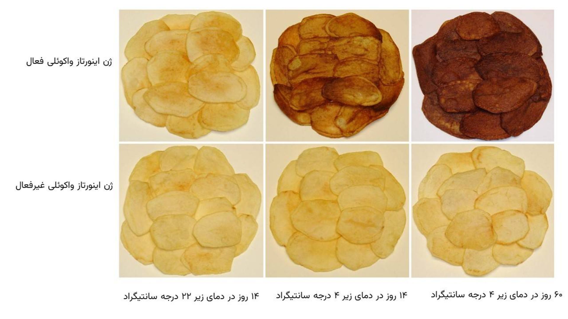 سیب زمینی سرخ شده