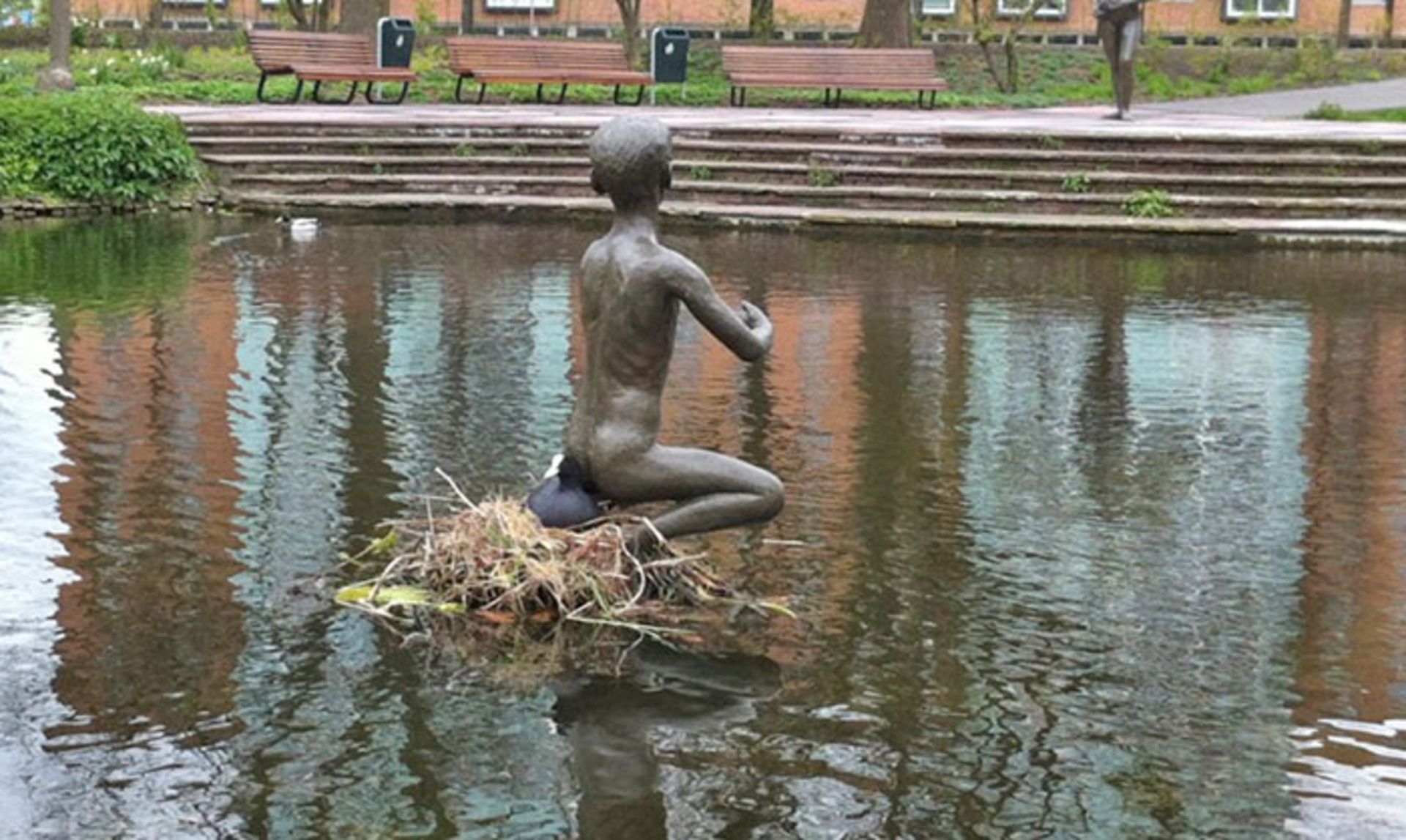 لانه‌‌ پرنده مجسمه روی آب