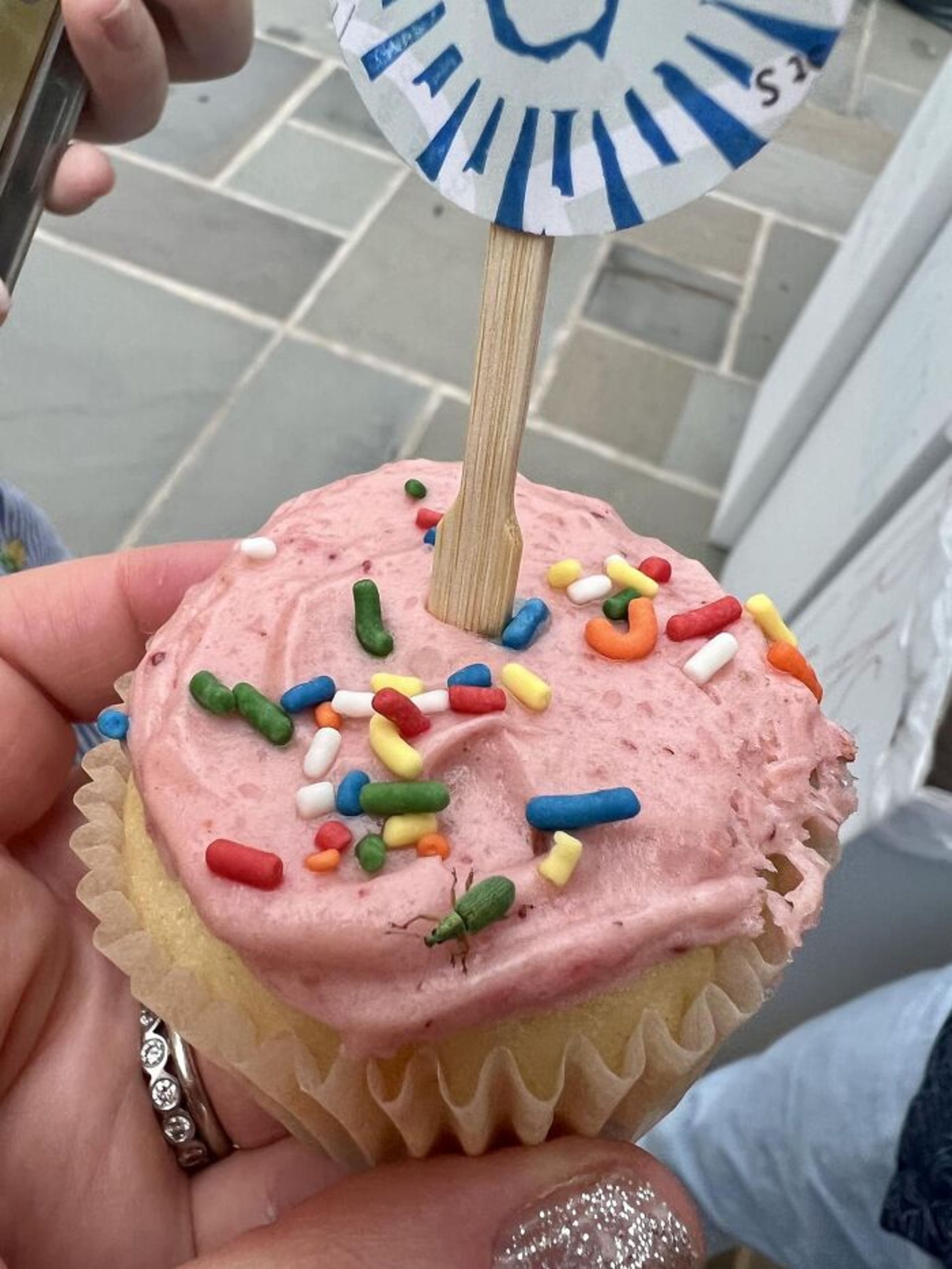 حشره سبز روی کاپ کیک 