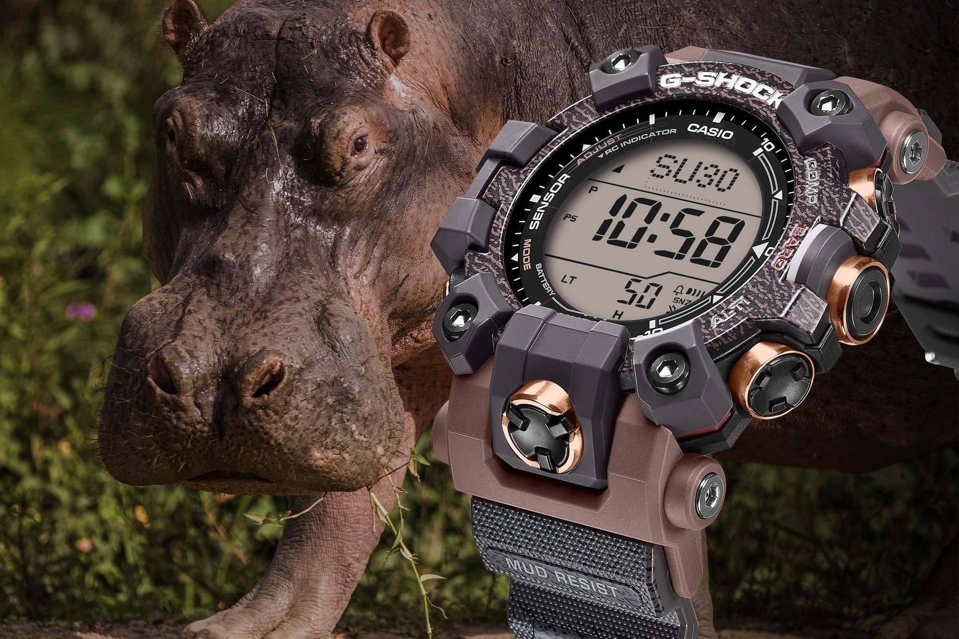 نمای جلو ساعت کاسیو مادمان در کنار اسب آبی