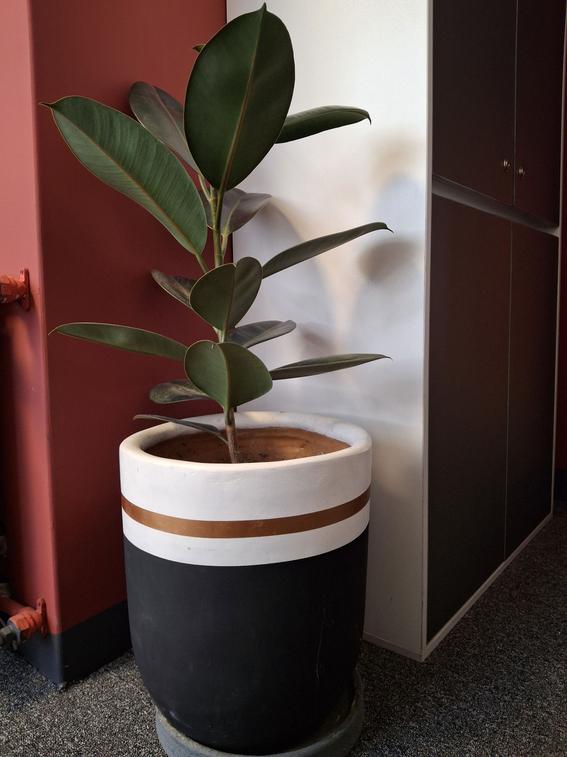 عکس گلدان با دوربین A35