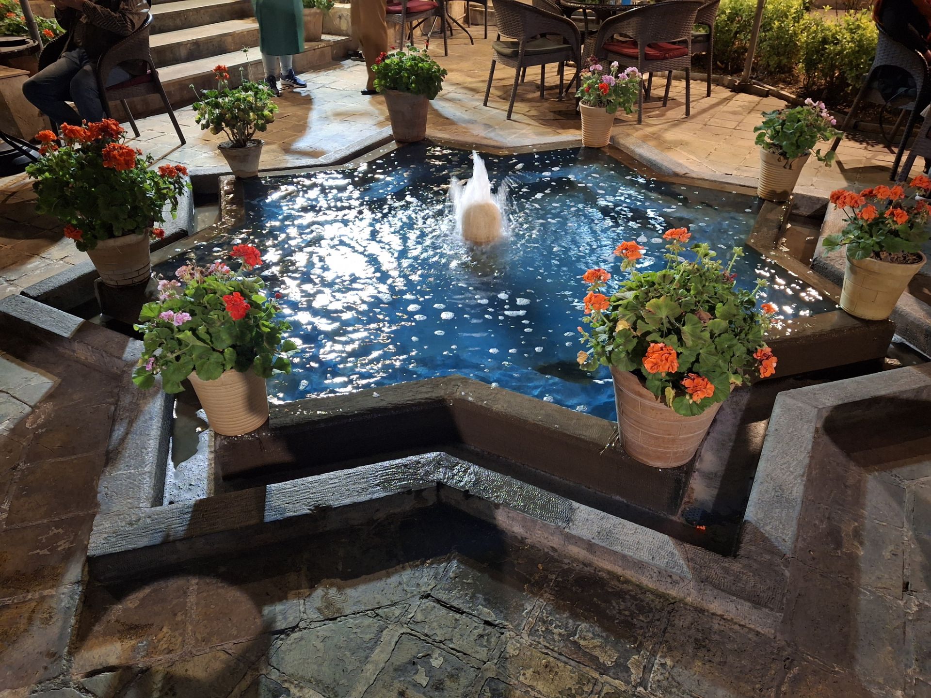 یک حوض آب ستاره‌ ای با آب نما و چند گلدان با گل‌ های صورتی با دوربین گلکسی A35