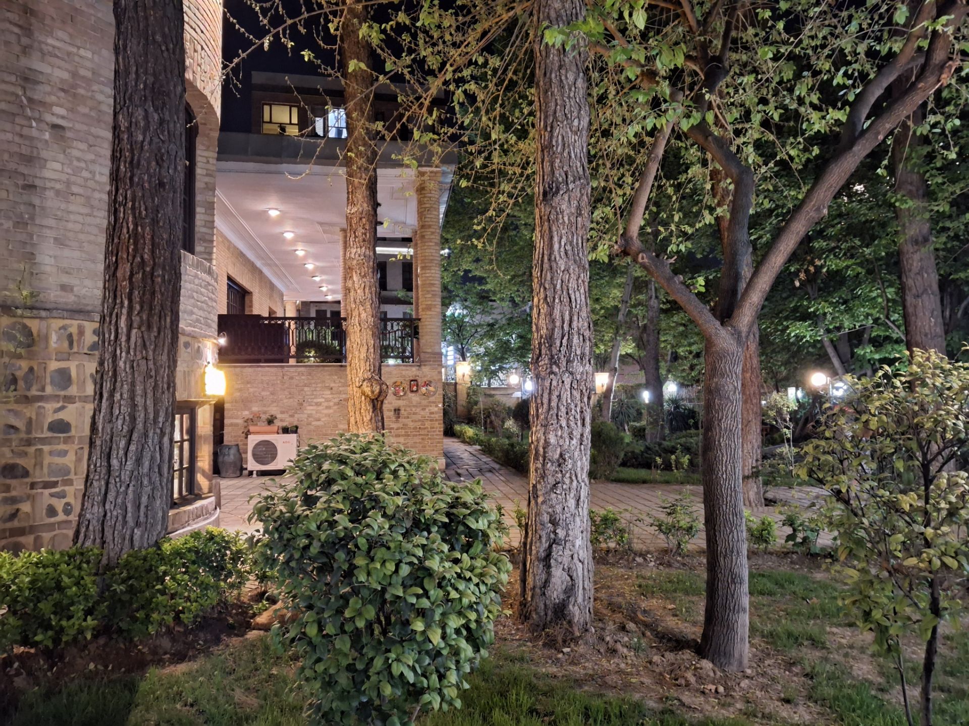 نمای درختان یک پارک در شب با دوربین گلکسی A35