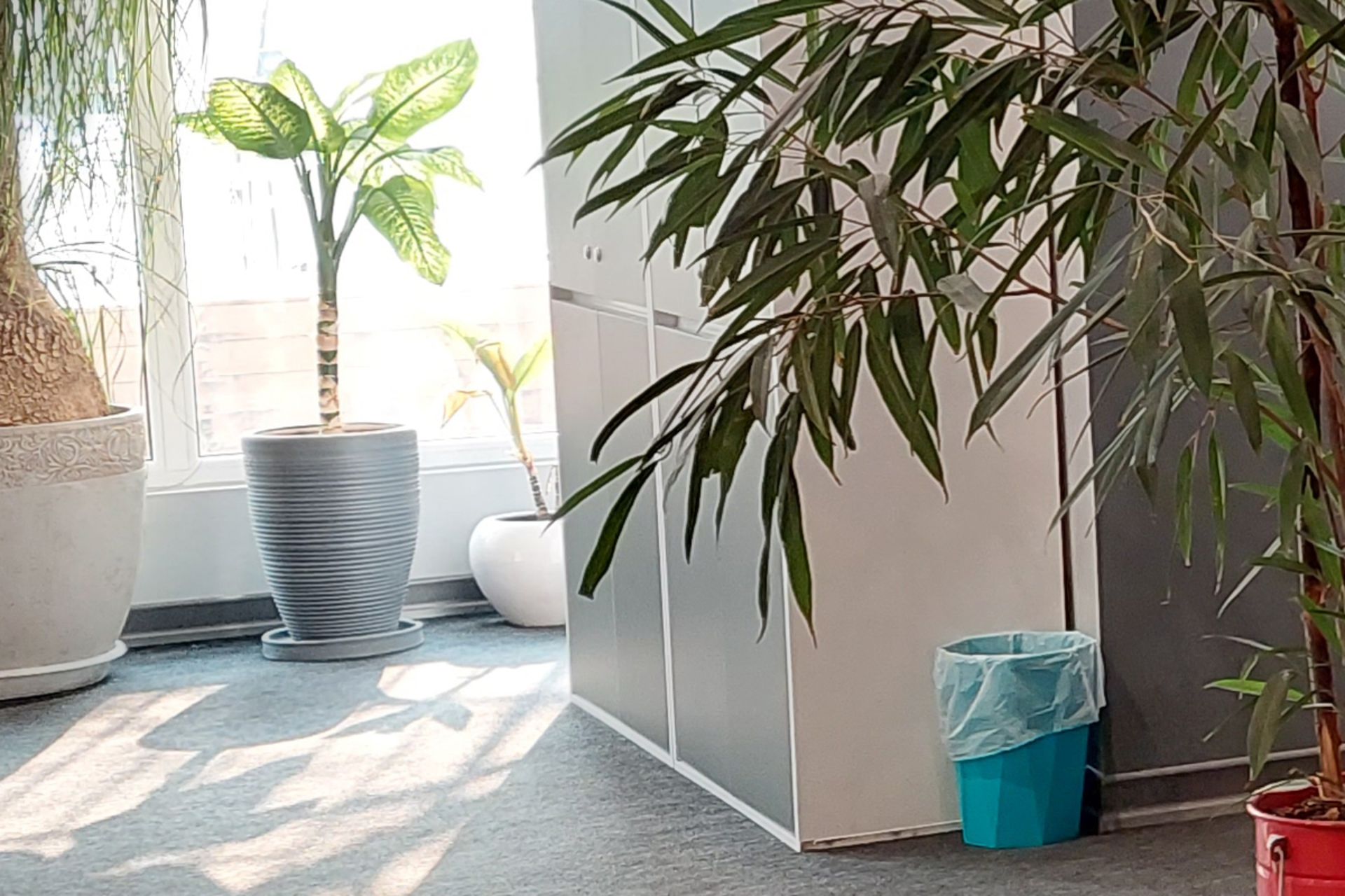 برش عکس HDR ثبت شده اصلی با گلکسی A52s