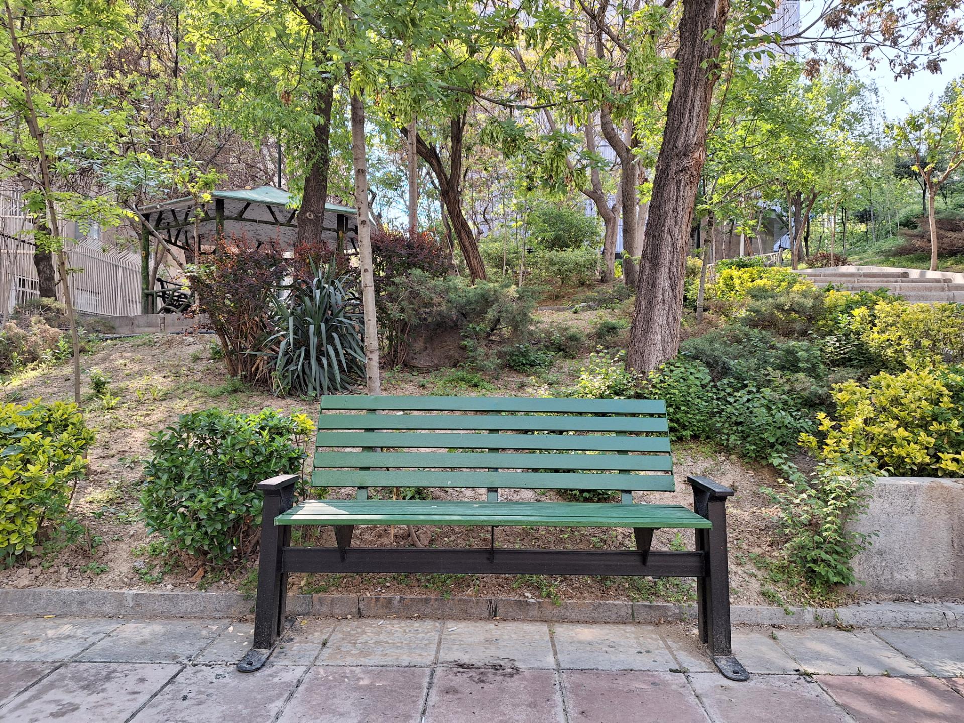 نمونه عکس دوربین اصلی A54 در روز از نیمکت پارک