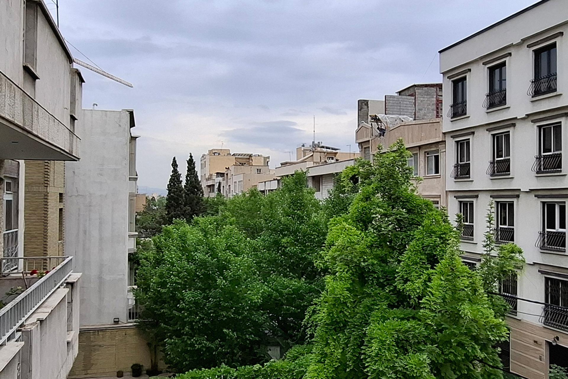 نمونه عکس کراپ شده دوربین اولتراواید گلکسی A55 در محیط روشن خارجی از نمای یک خیابان و درختان
