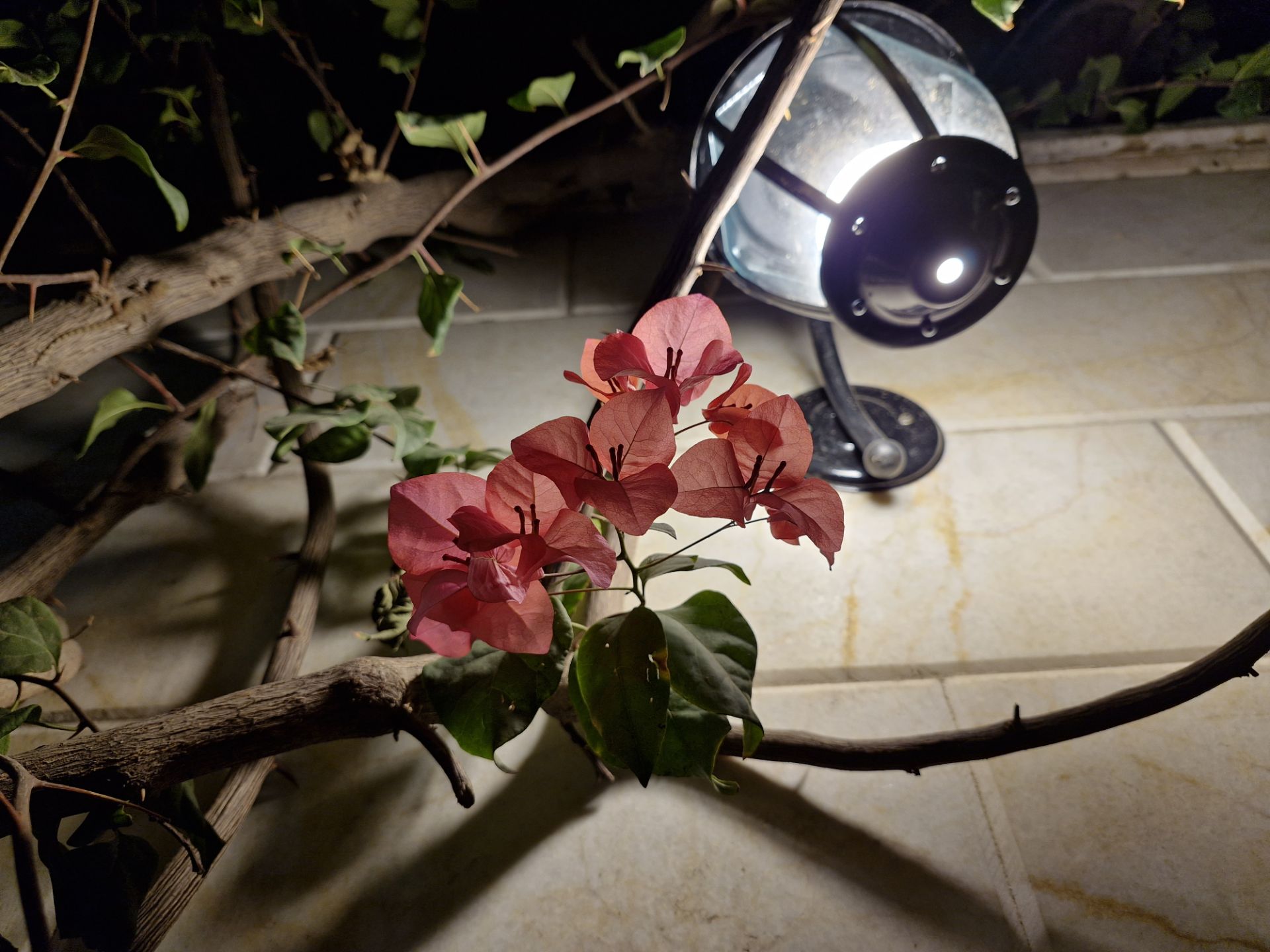 عکس چراغ با S23 FE در شب