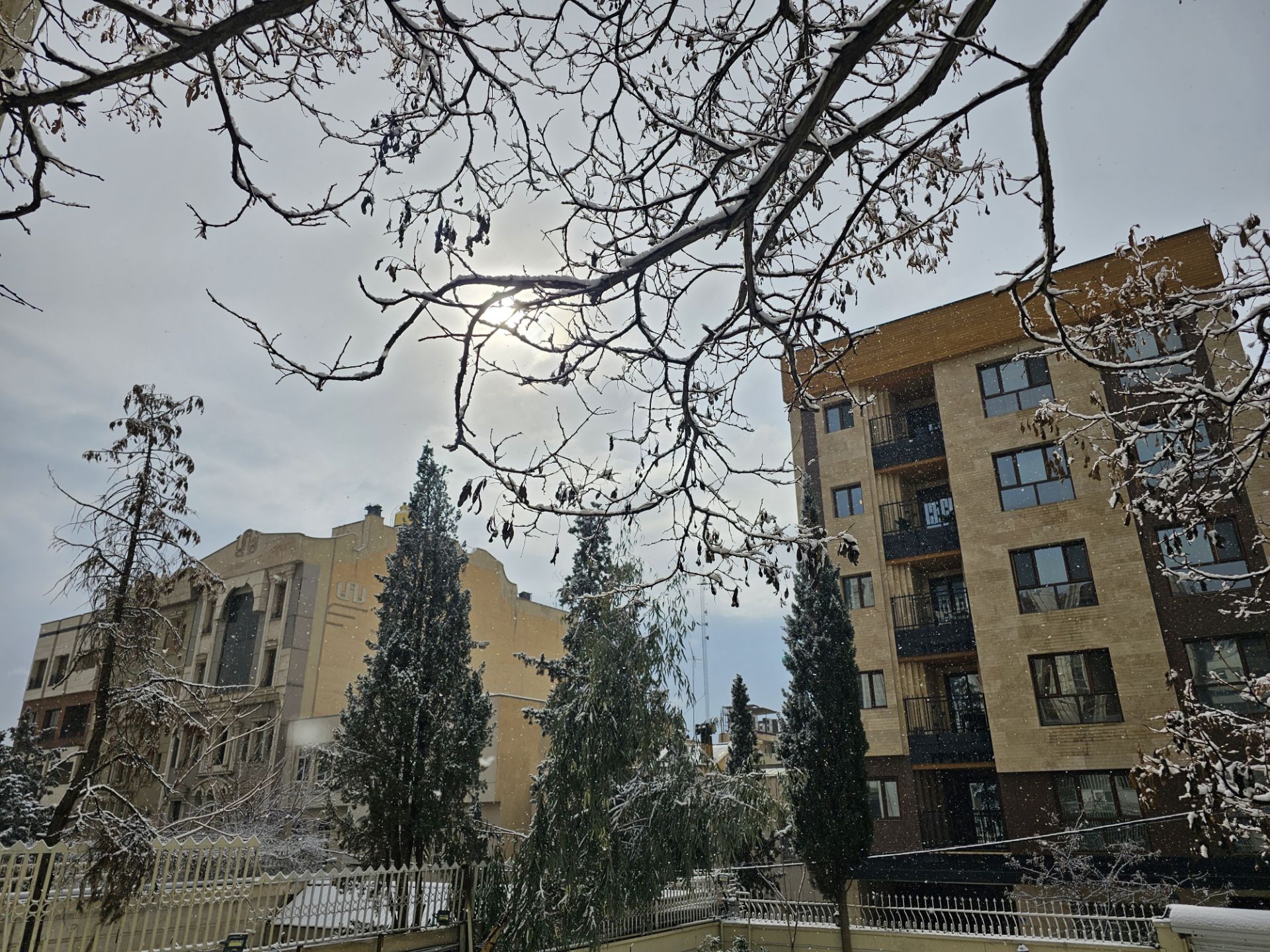 عکس نمونه دوربین اصلی گلکسی اس ۲۳ اولترا ۳