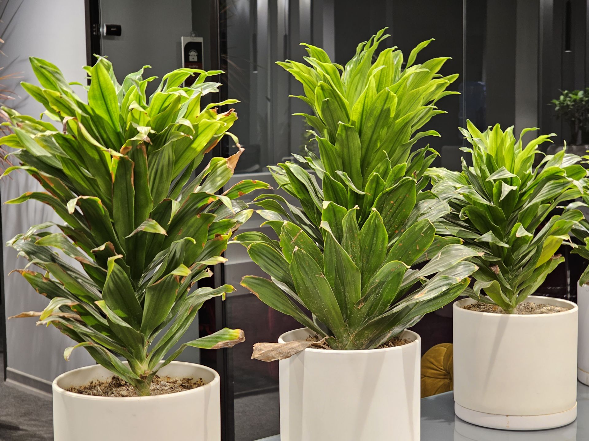 عکس نمونه دوربین ۳ برابری گلکسی اس ۲۳ اولترا ۲