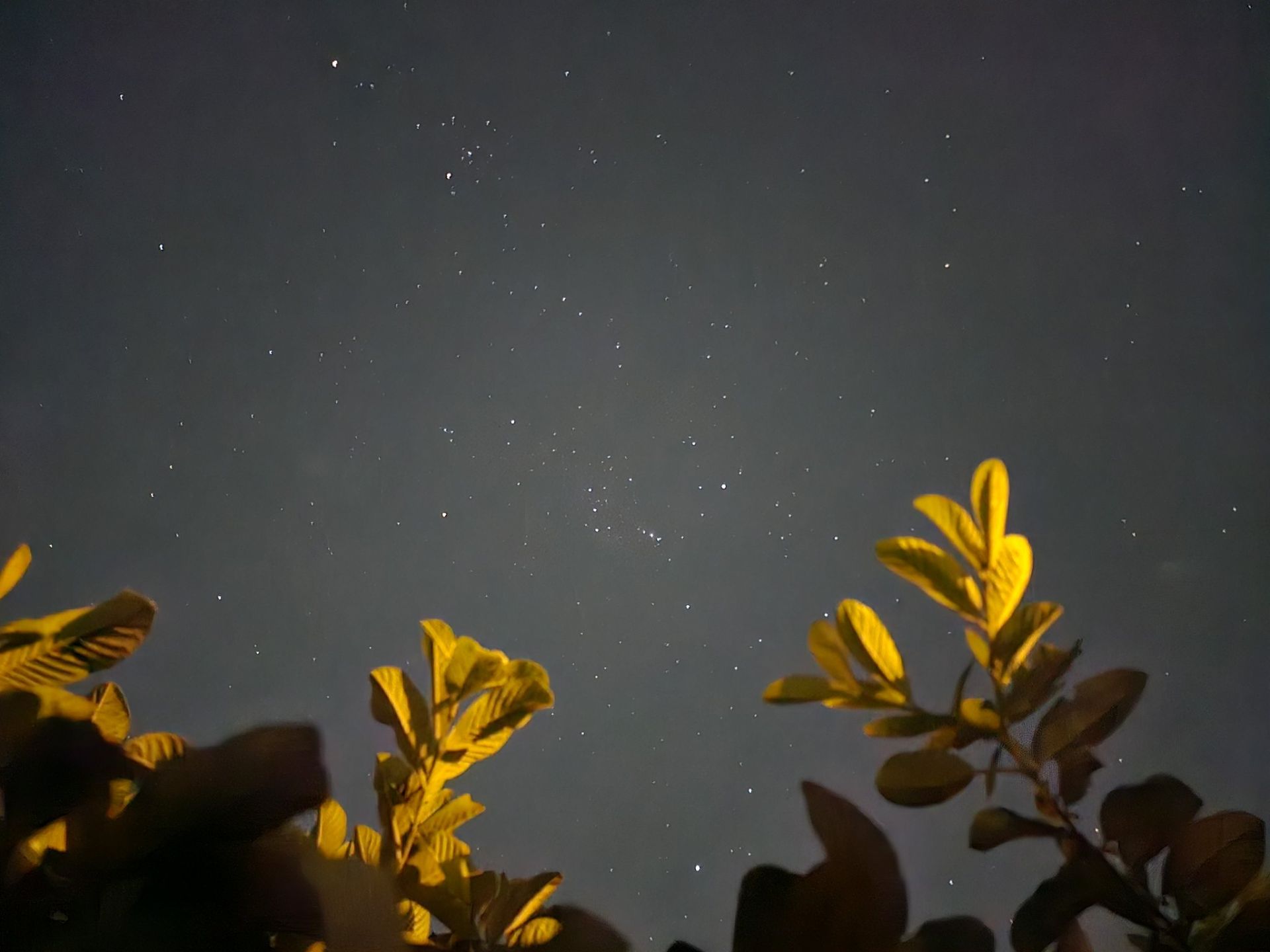 نمونه عکس ثبت‌شده با دوربین ۲۰۰ مگاپیکسلی گلکسی اس ۲۳ اولترا در نور کم (فعال‌بودن حالت Night Mode)