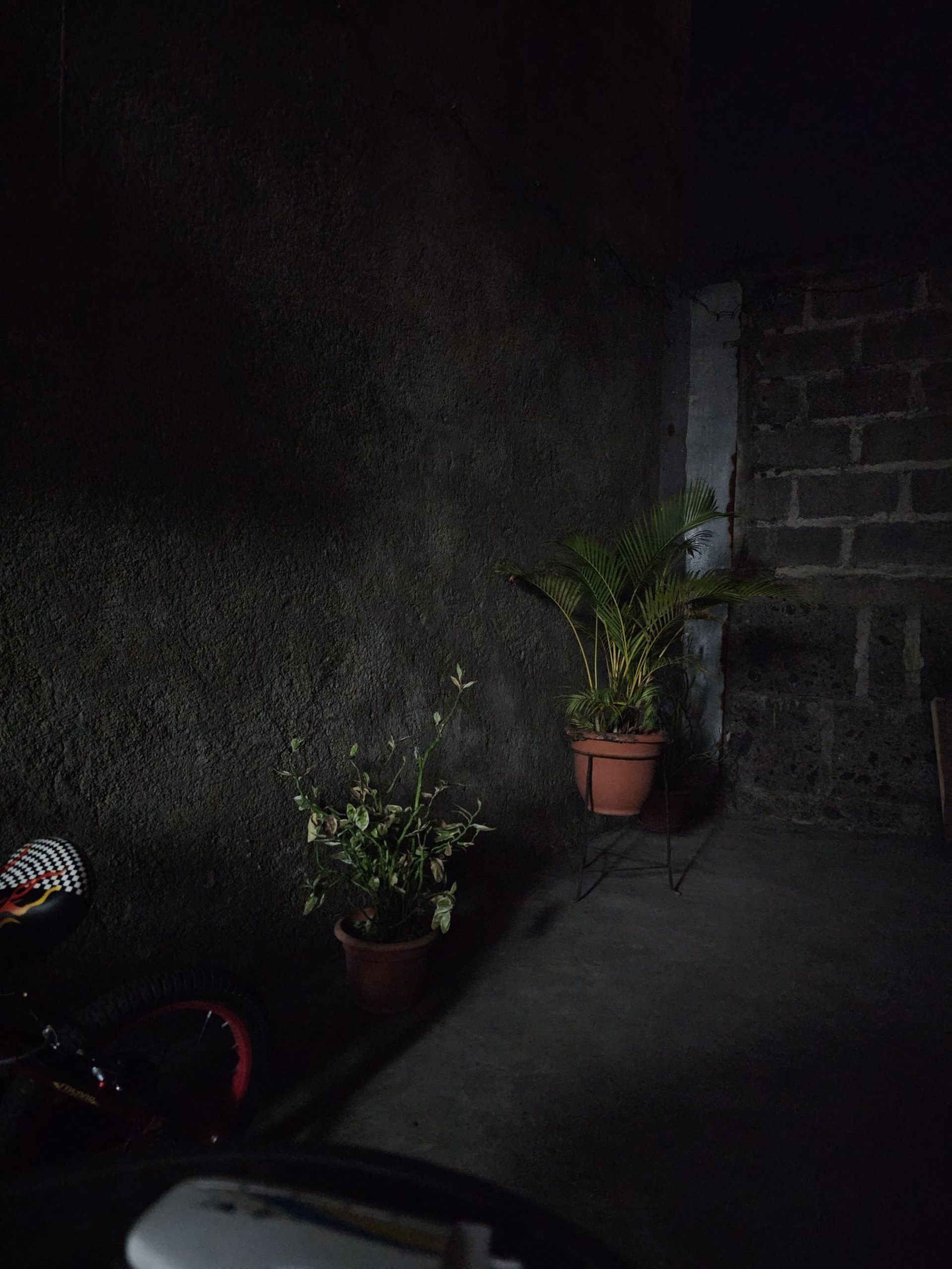 نمونه عکس ثبت‌شده با دوربین ۲۰۰ مگاپیکسلی گلکسی اس ۲۳ اولترا در نور کم (غیر‌فعال‌بودن حالت Night Mode)