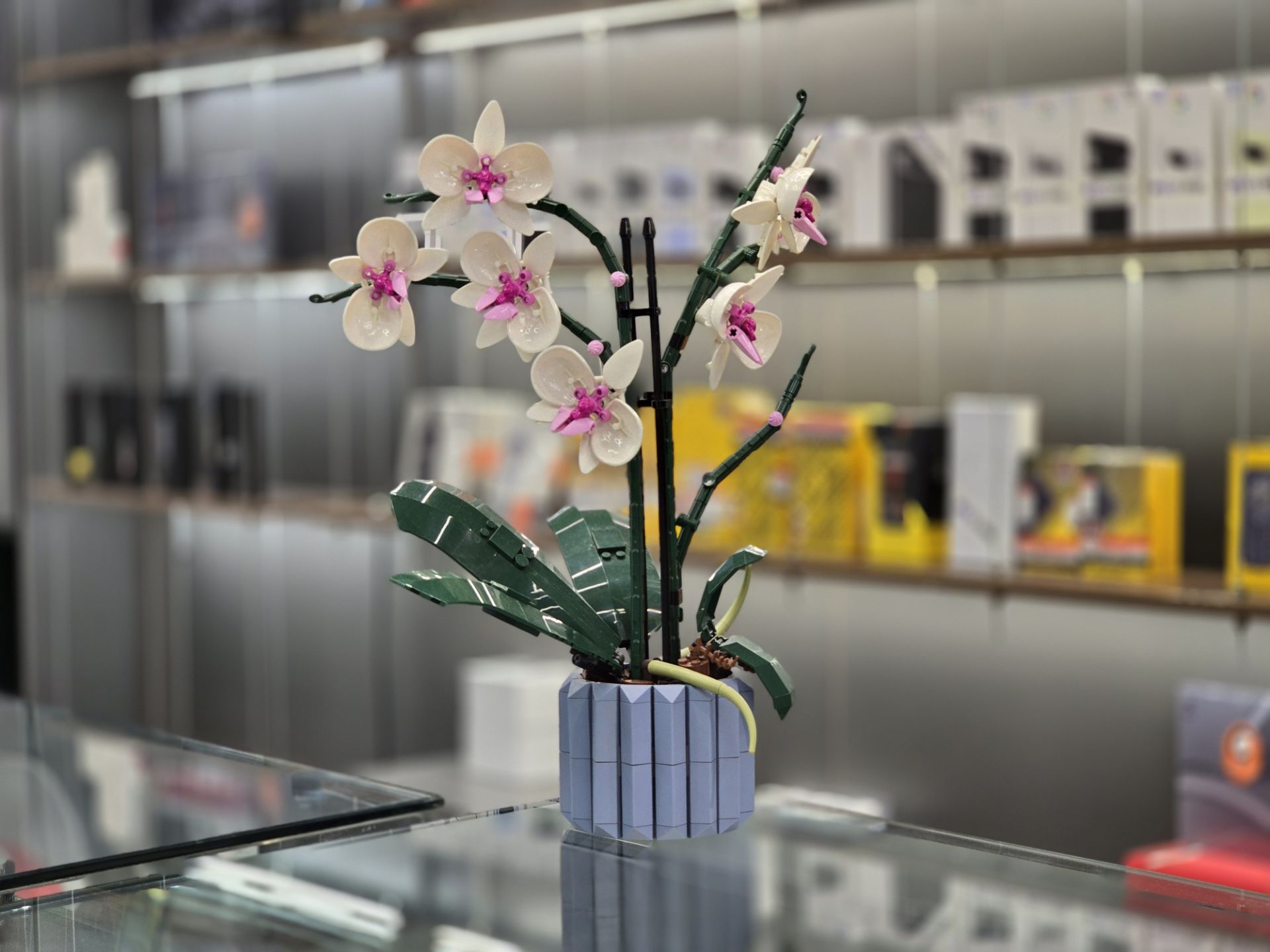 گلدان گل در فروشگاه موبایل