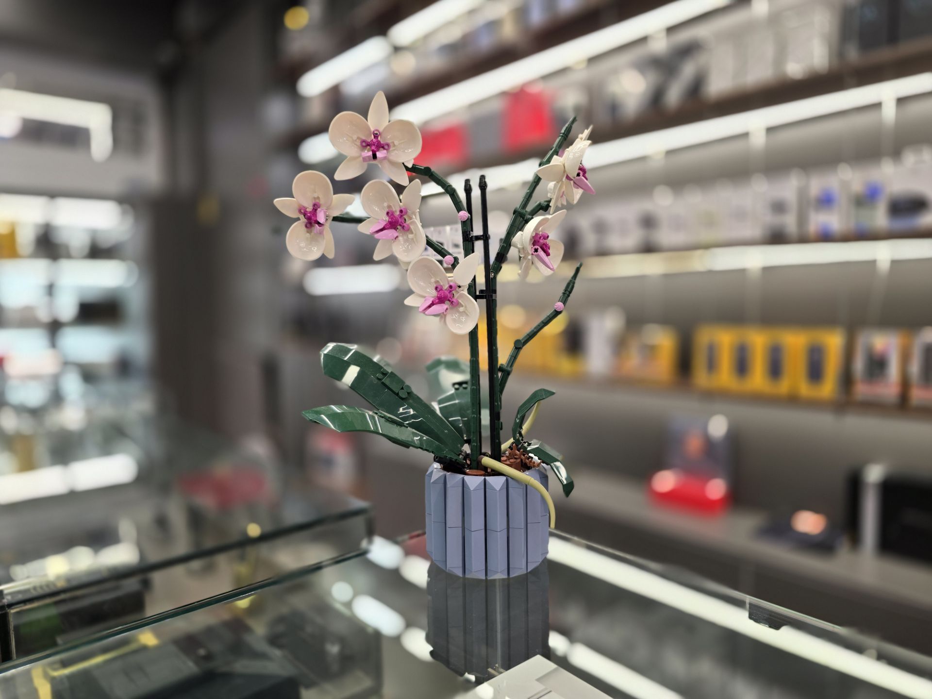 گلدان گل روی پیشخوان فروشگاه موبایل