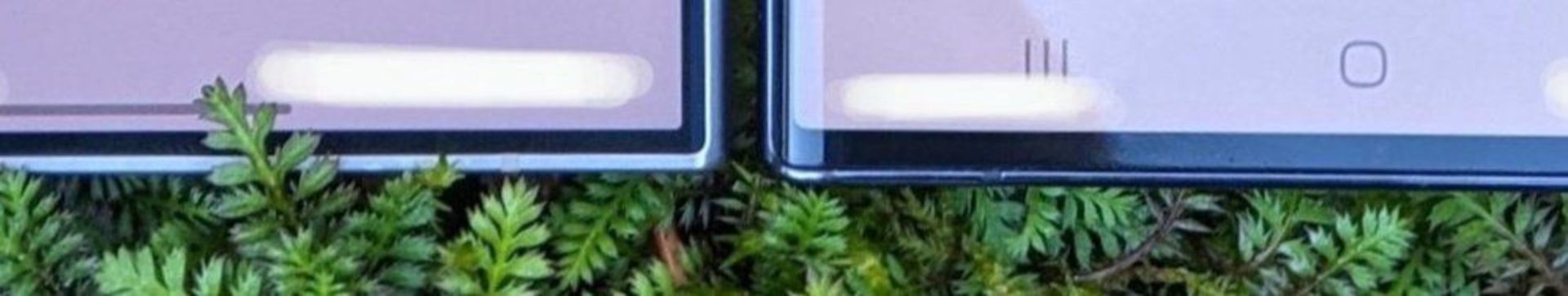 مقایسه حاشیه نمایشگر گلکسی اس ۲۴ اولترا با گلکسی اس ۲۳ اولترا