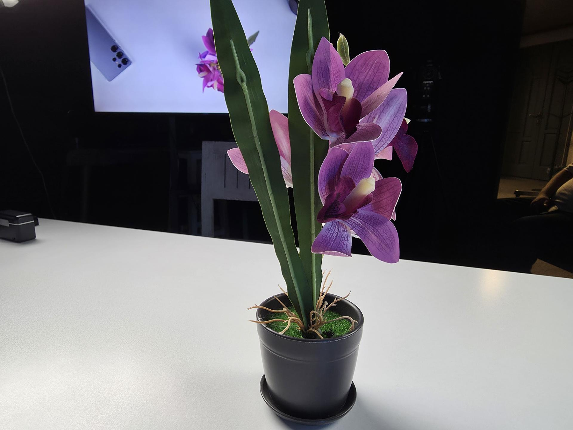 نمونه عکس گلکسی S25 اج سامسونگ گل آپارتمانی از نمای نزدیک