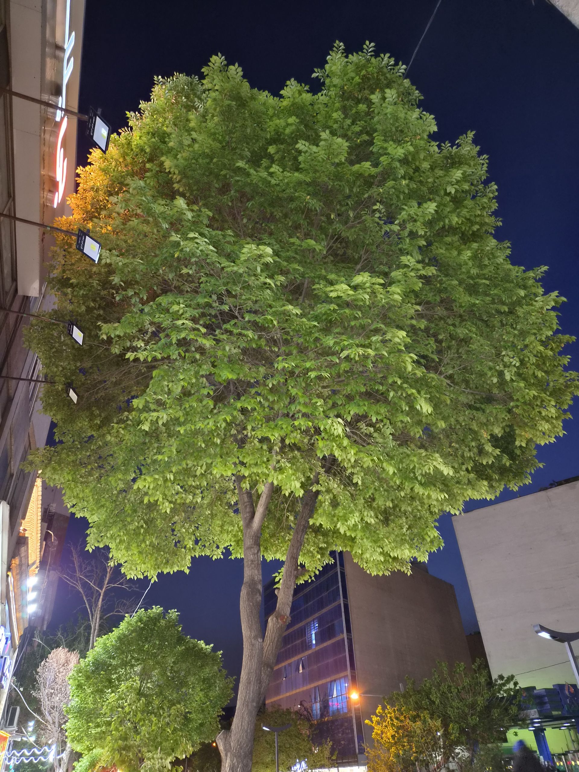  نمونه‌عکس دوربین گلکسی اس۲۶ - ۴