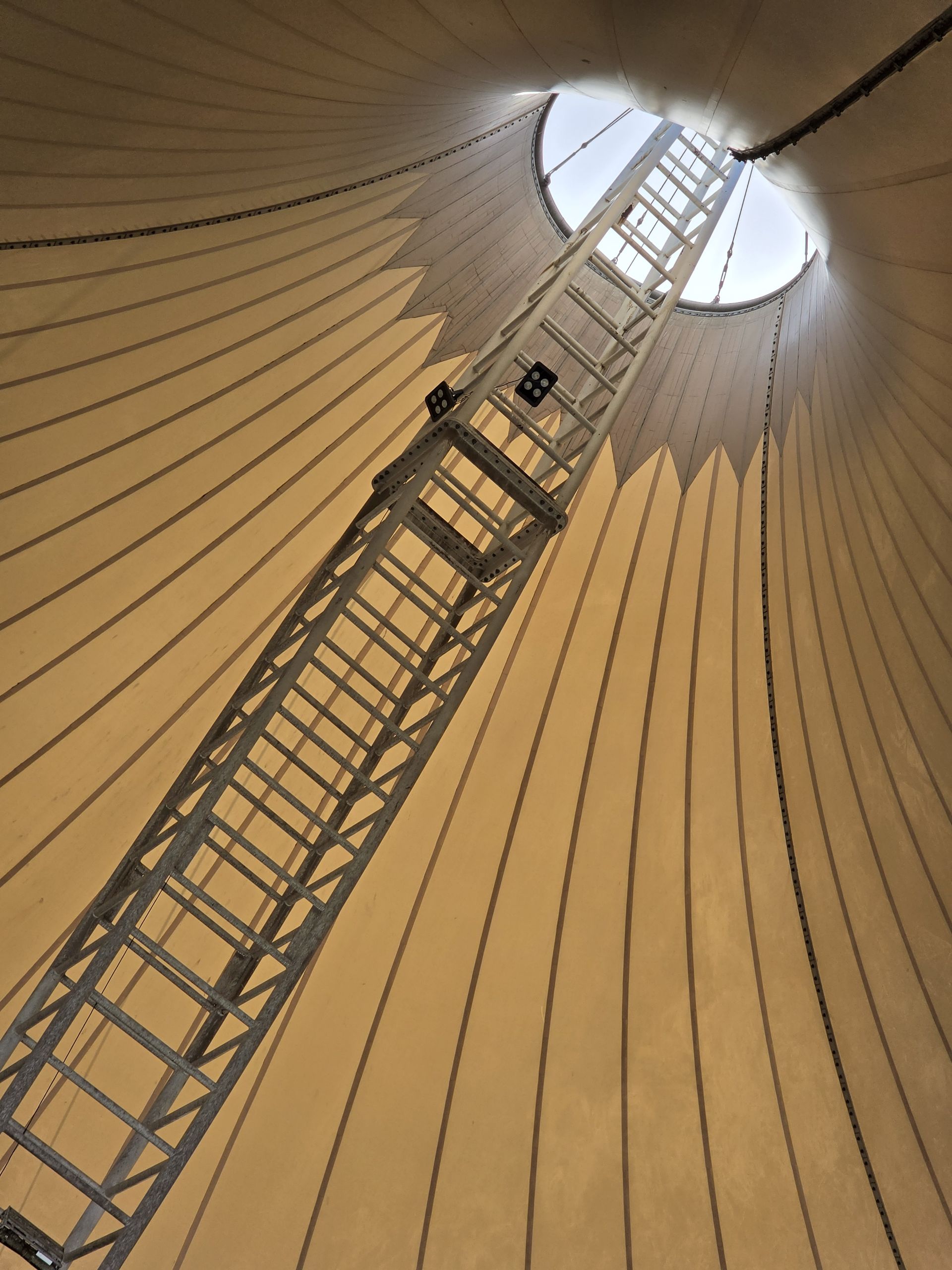 نمونه‌عکس دوربین تله‌فوتو ۳برابری گلکسی S26 اولترا - ۳