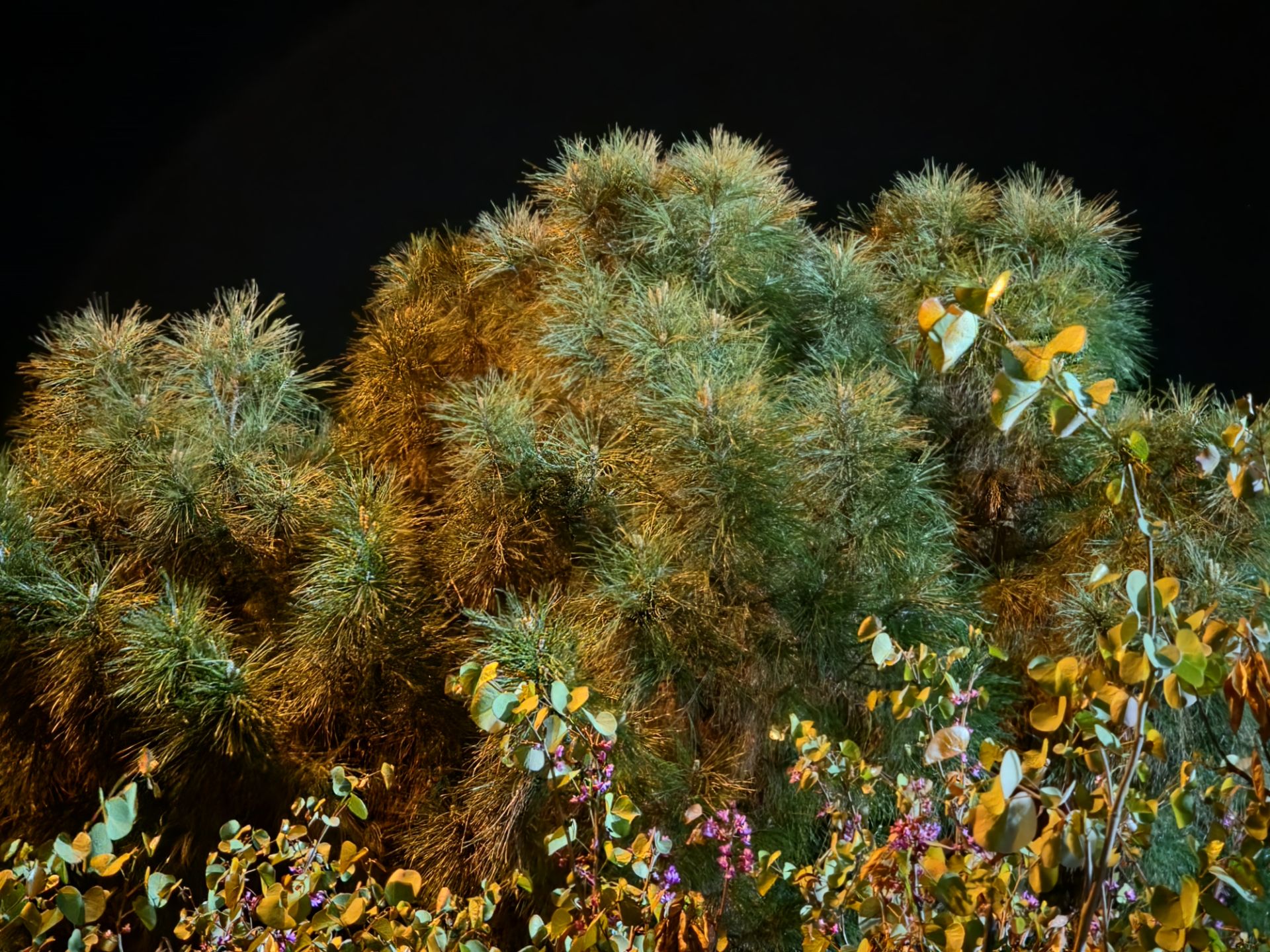 نمونه‌عکس دوربین تله‌فوتو ۳برابری گلکسی S26 اولترا - ۶