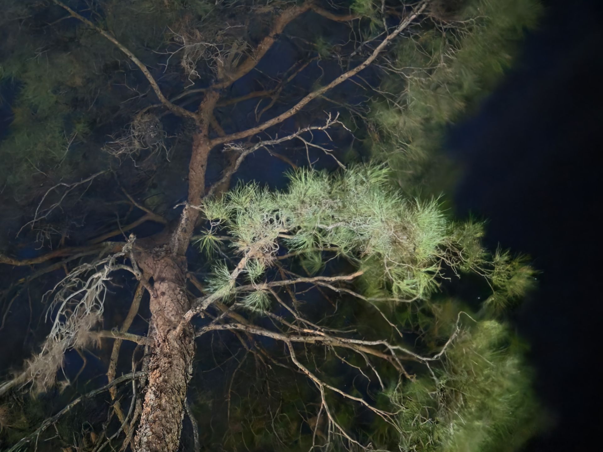 نمونه‌عکس دوربین تله‌فوتو ۳برابری گلکسی S26 اولترا - ۷