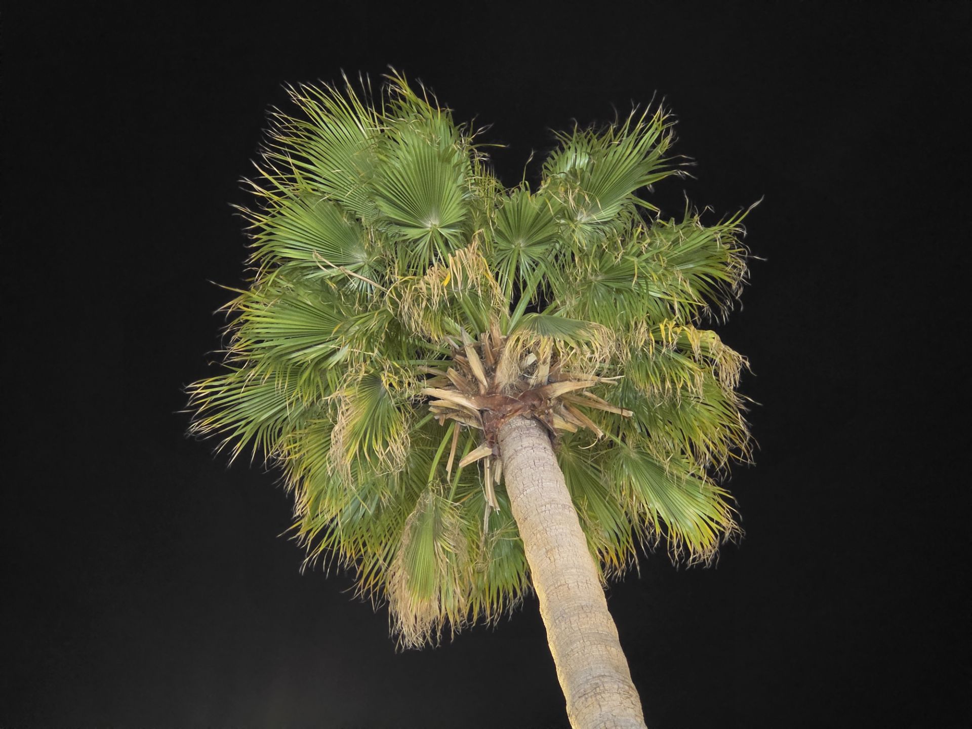 نمونه‌عکس دوربین تله‌فوتو ۳برابری گلکسی S26 اولترا - ۸