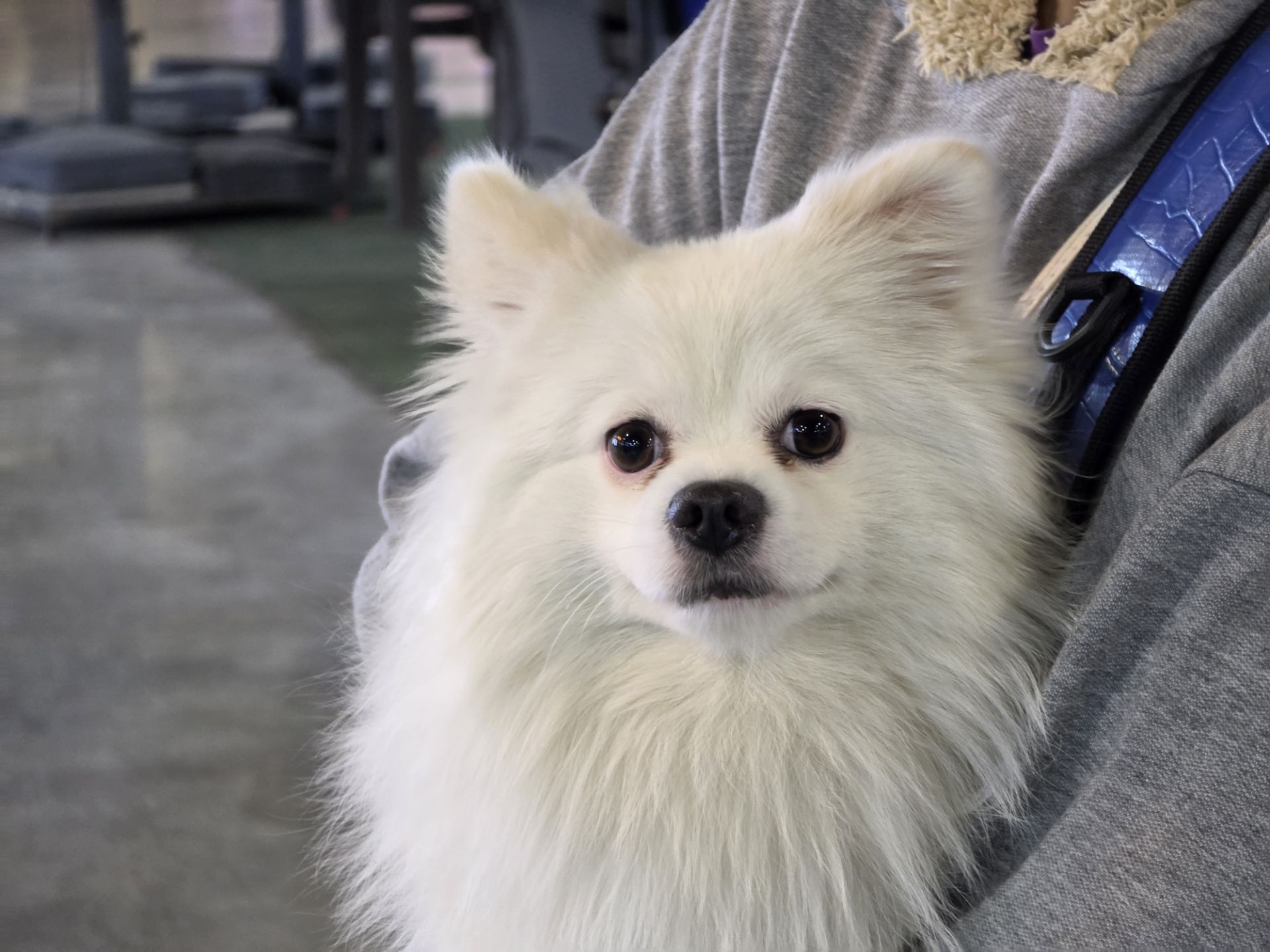 نمونه‌عکس دوربین تله‌فوتو ۵برابری گلکسی S26 اولترا - ۱۱