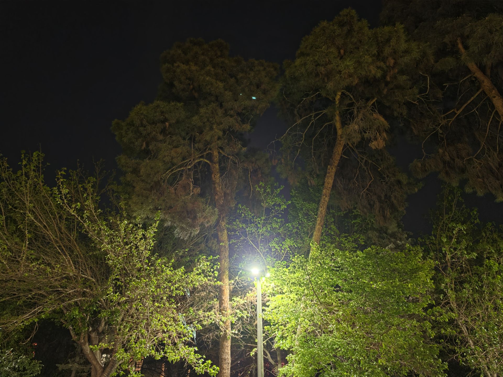 نمونه‌عکس دوربین اصلی گلکسی S26 اولترا - ۶