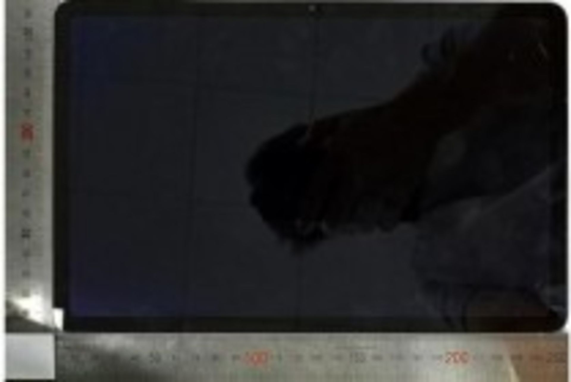 نمایشگر گلکسی تب S11