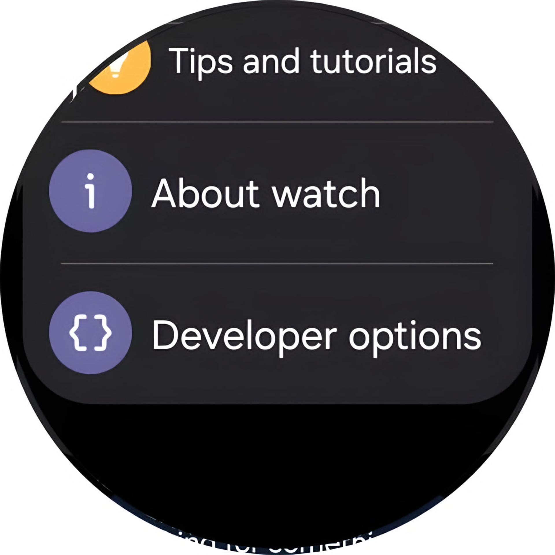 منوی تنظیمات ساعت هوشمند سامسونگ (Galaxy Watch) شامل گزینه‌های About watch و Developer options