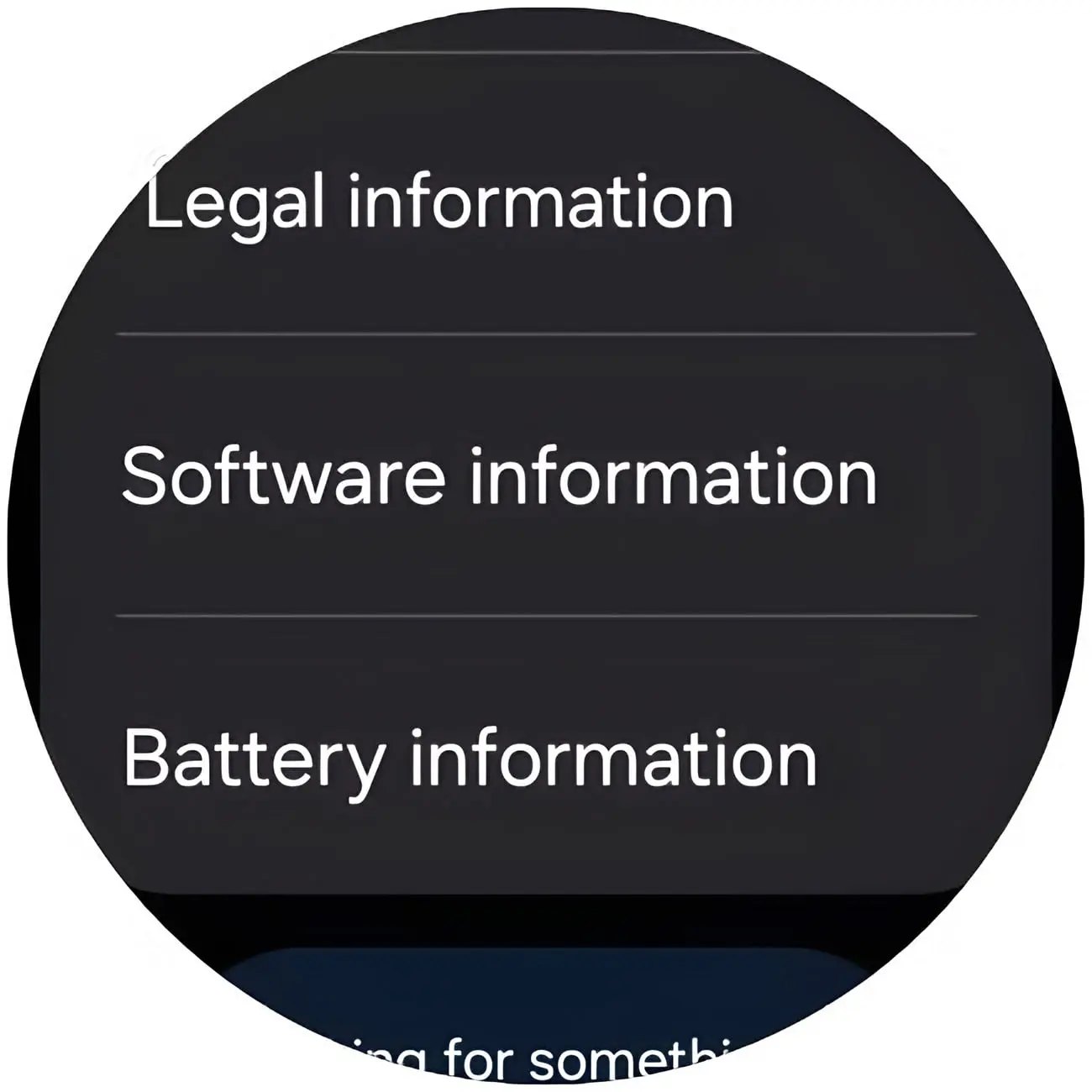 منوی تنظیمات گلکسی واچ (Galaxy Watch) شامل گزینه‌های اطلاعات نرم‌افزار و باتری