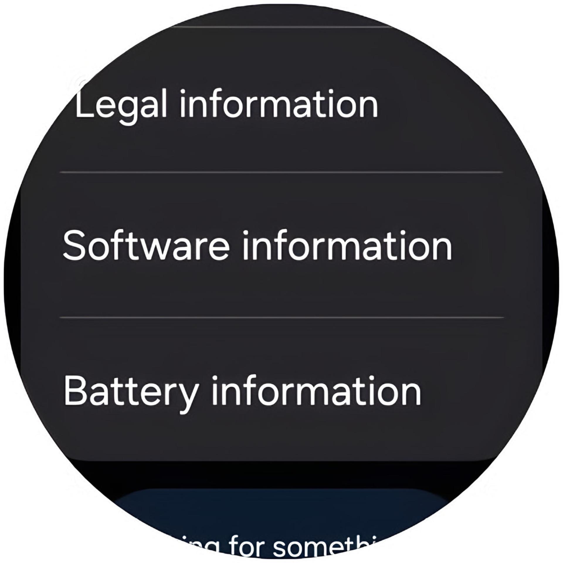 منوی تنظیمات گلکسی واچ (Galaxy Watch) شامل گزینههای اطلاعات نرمافزار و باتری