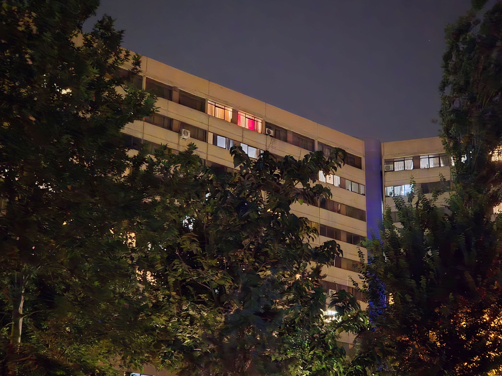 Residential building behind the trees