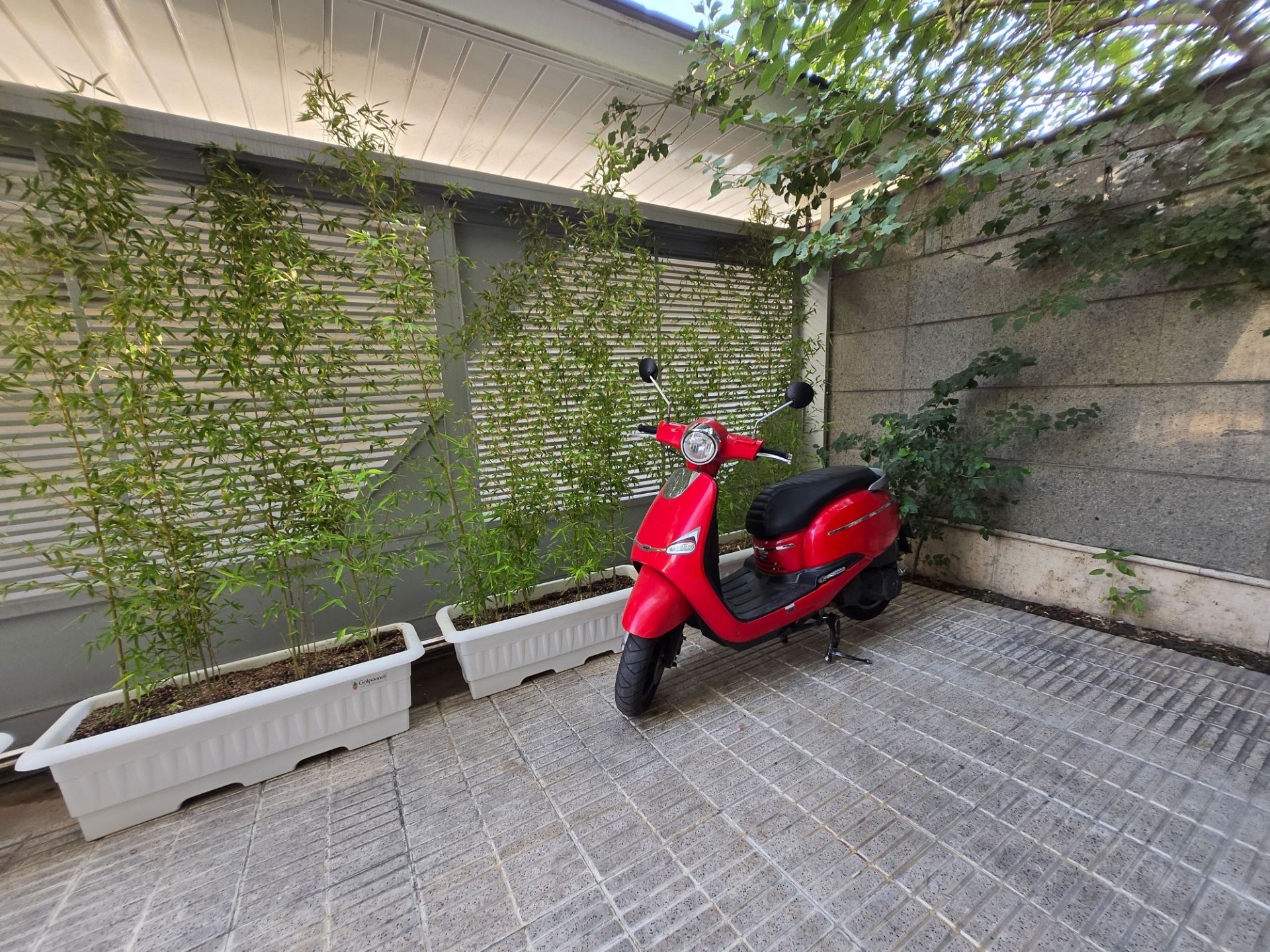 Red motorcycle next to the vase